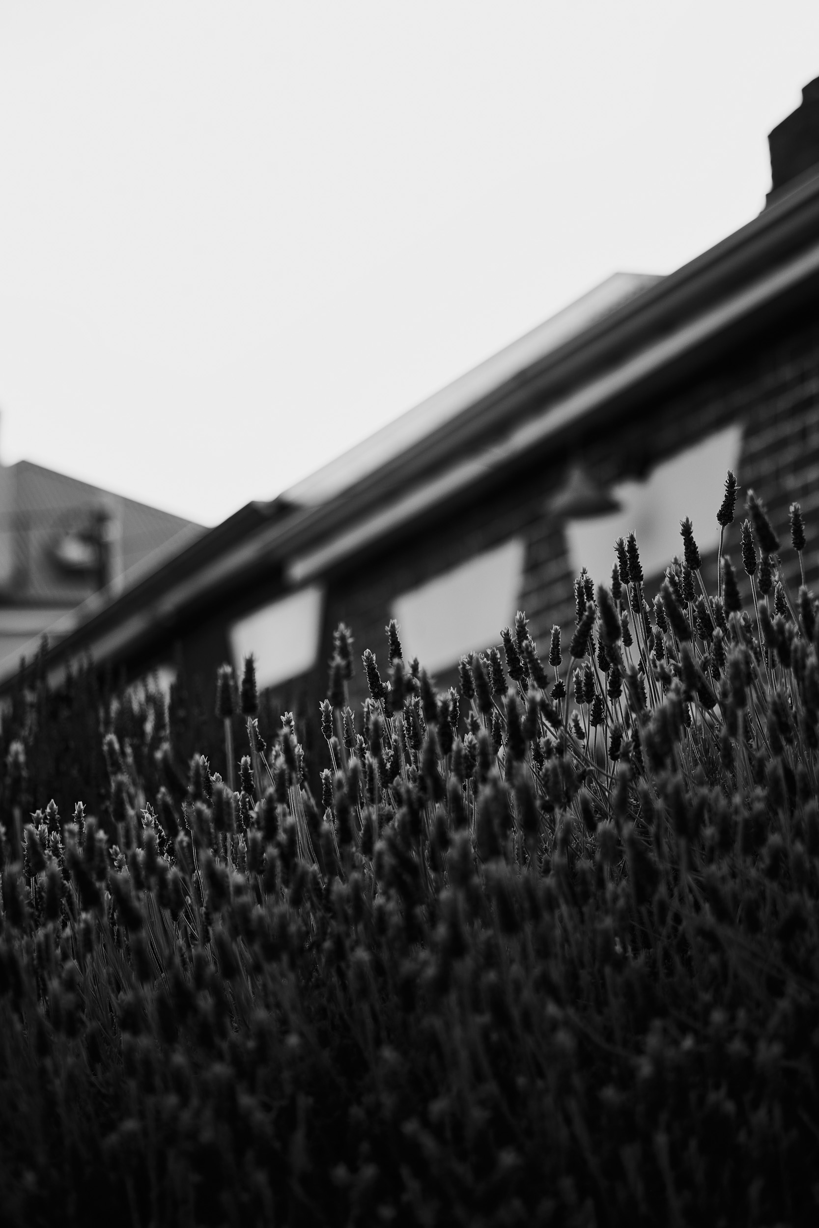 Full width project banner image
