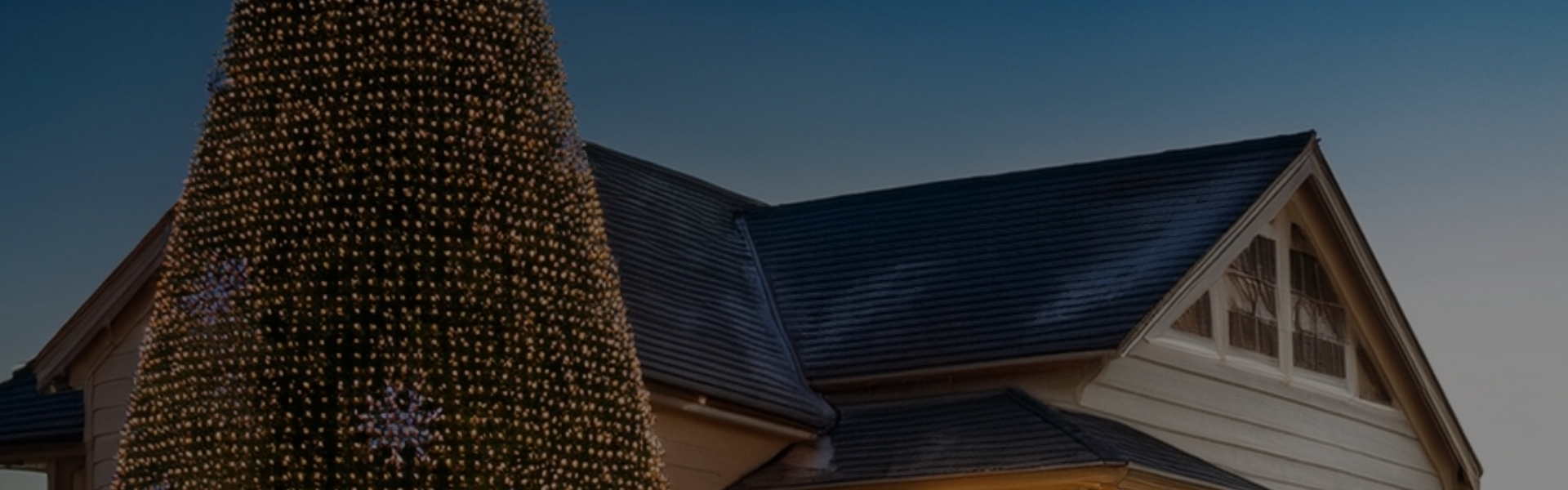 Full width project banner image