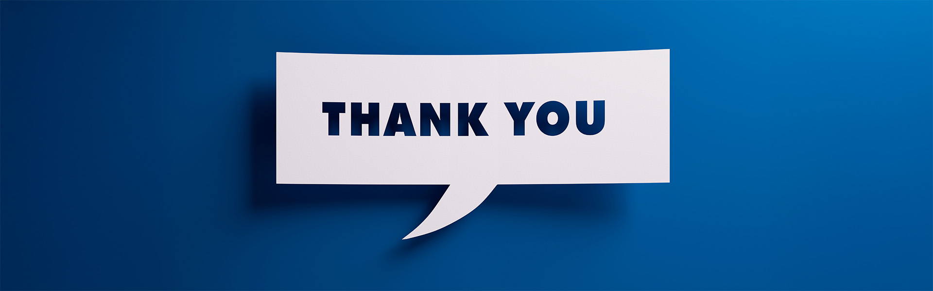 Full width project banner image