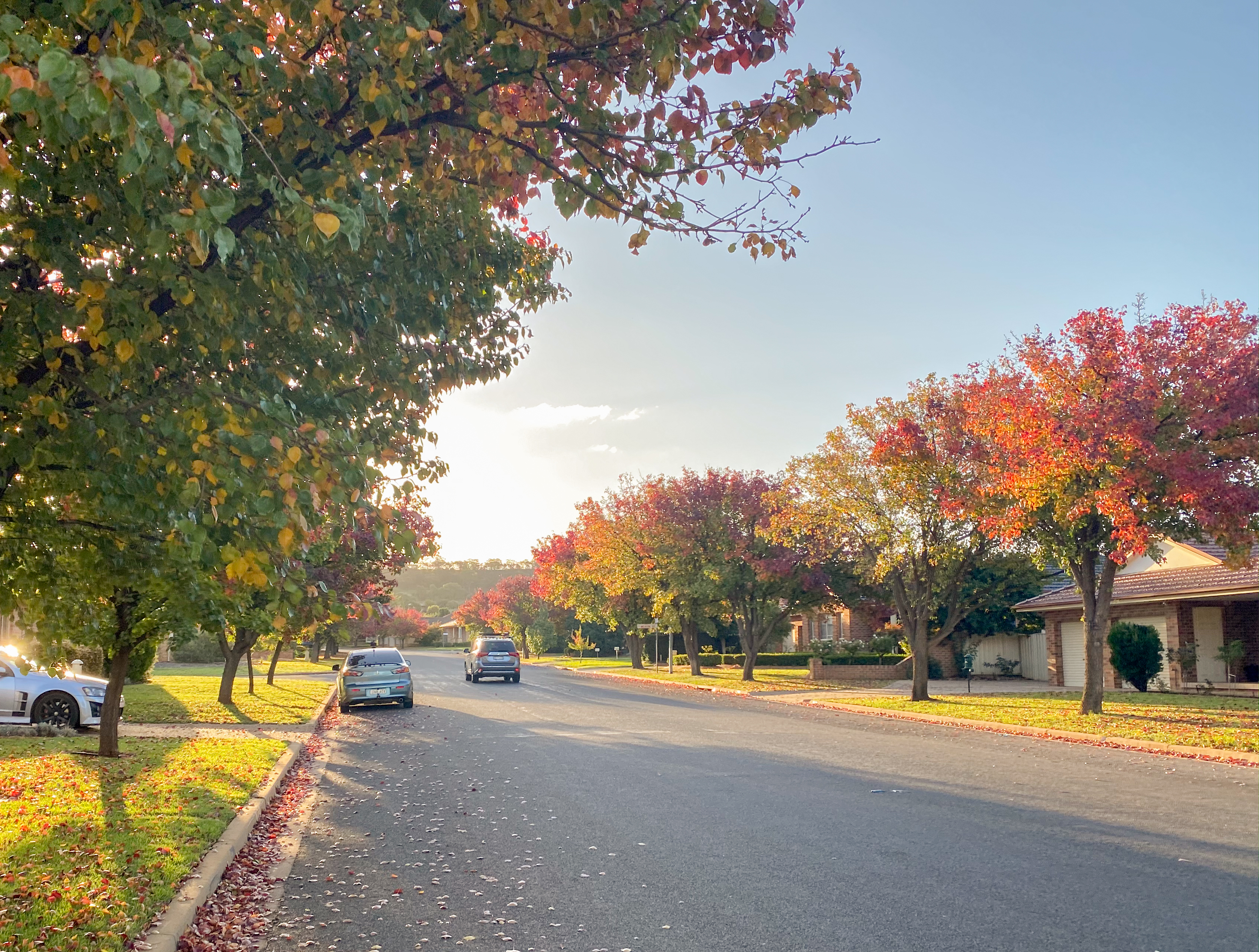 Blog post card image