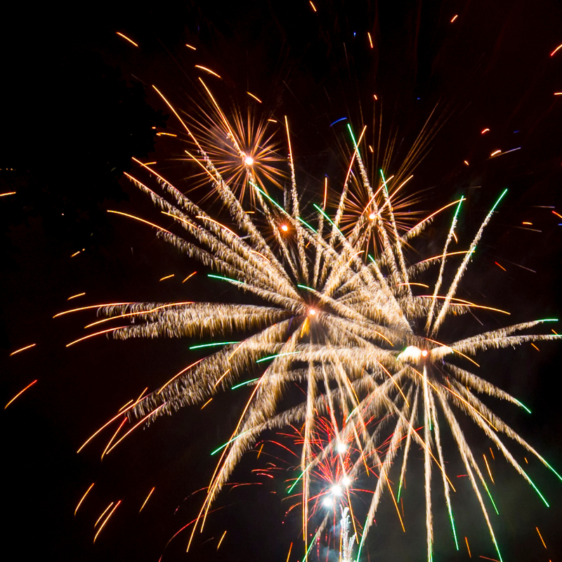 What's on Noble - December