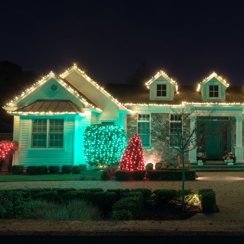 Whats on Noble - December 