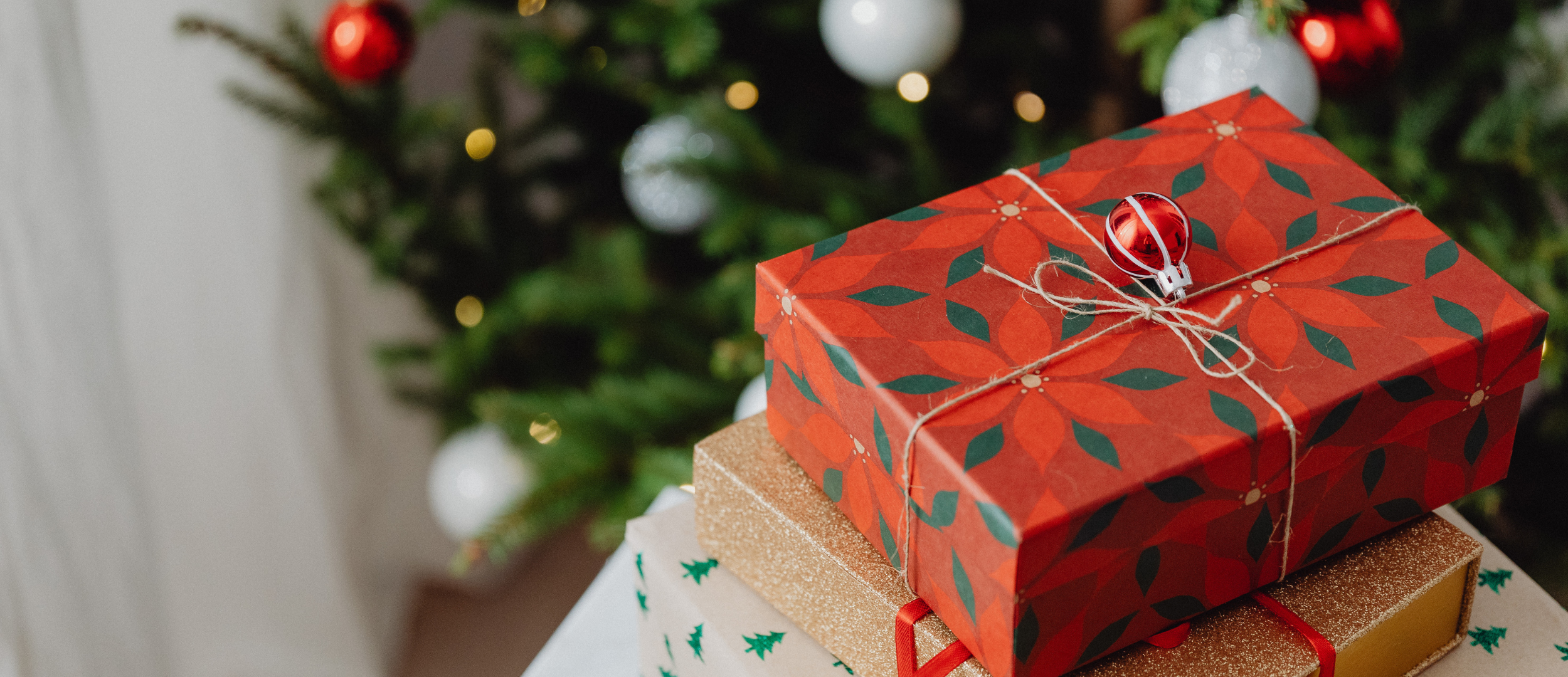 Full width project banner image