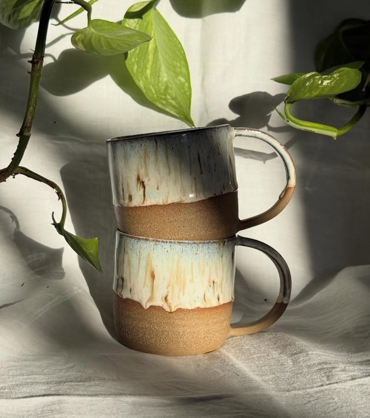 noble Christmas gift