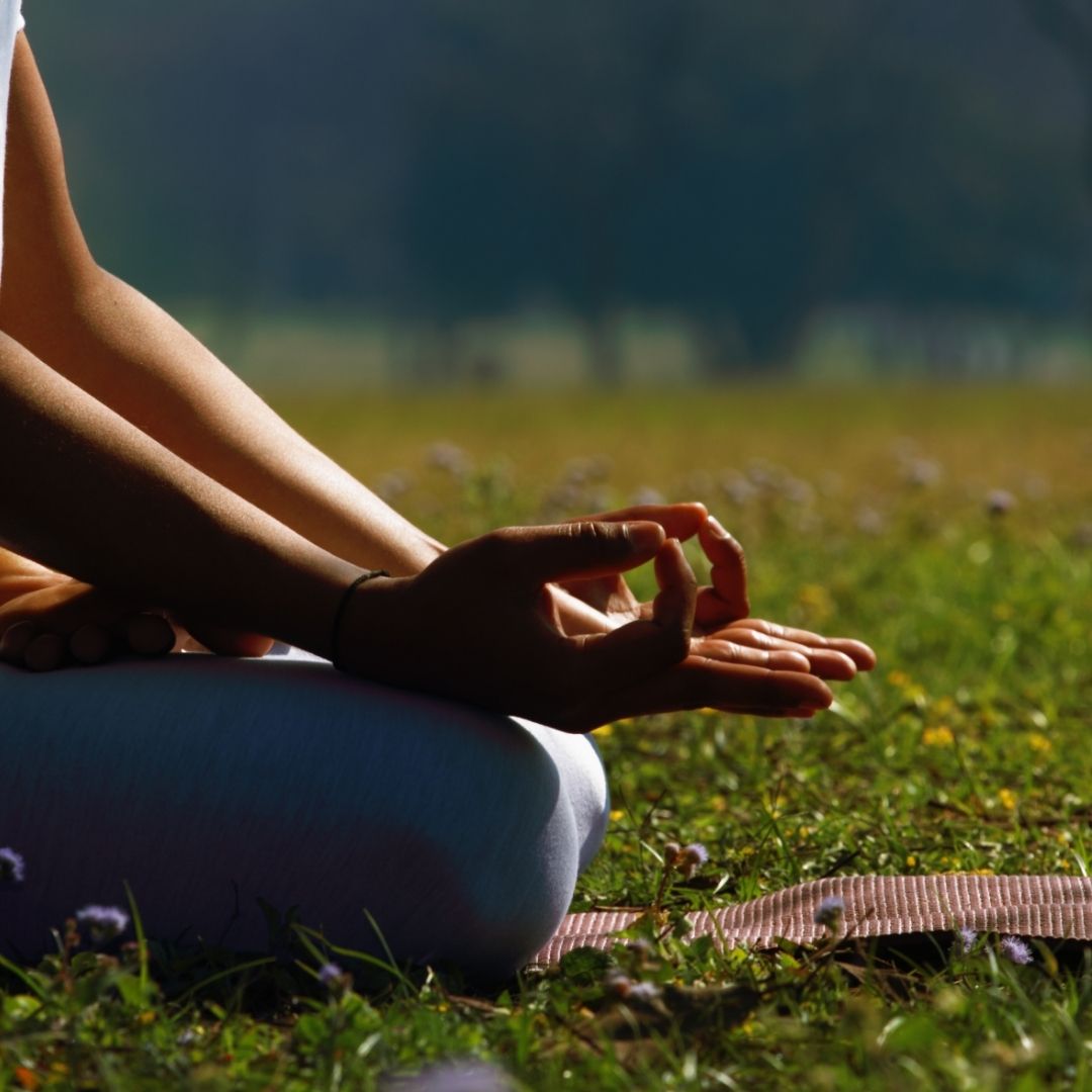 What’s On Around You - feb 2026