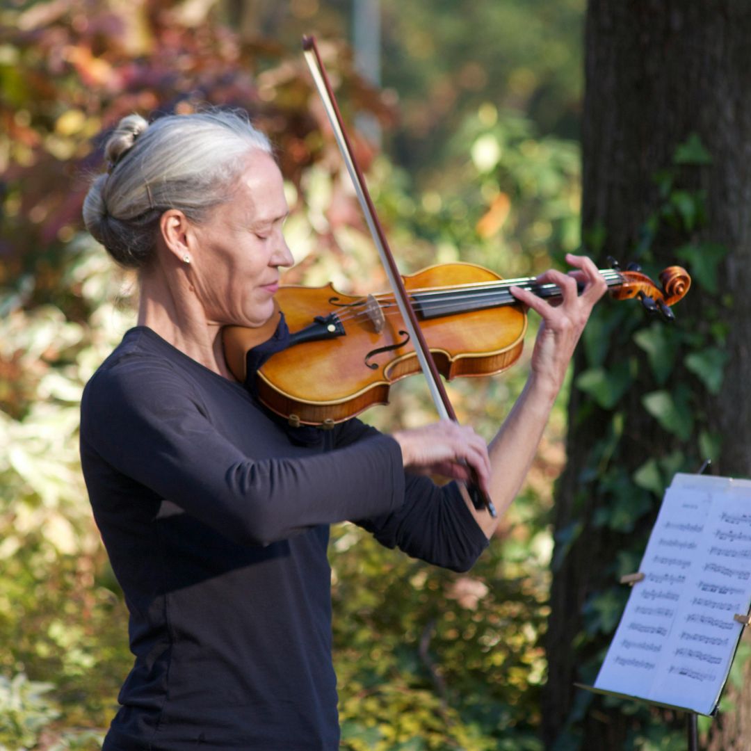 What’s On Around You - feb 2026