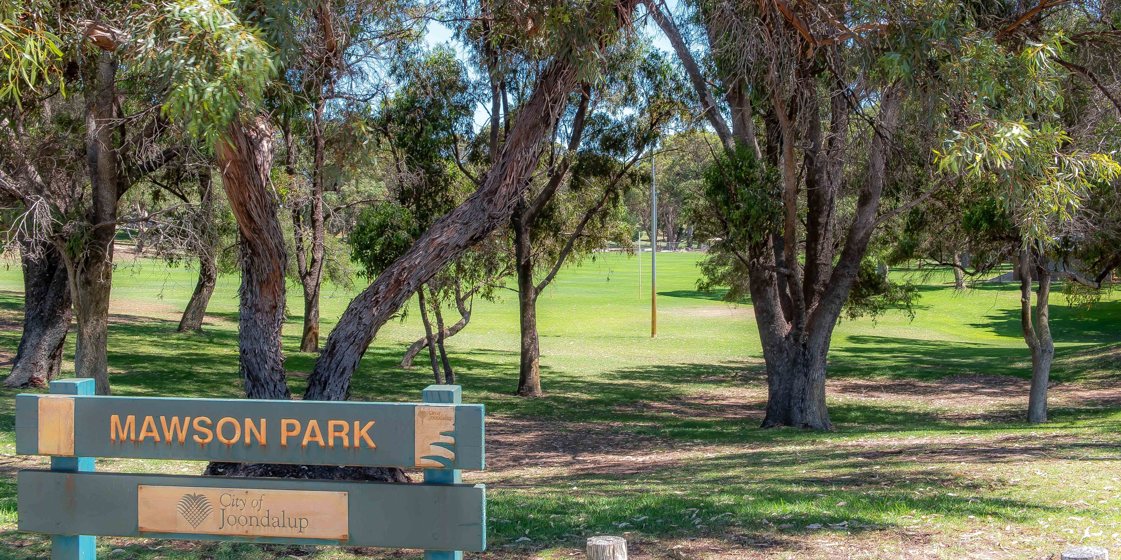 Full width project banner image