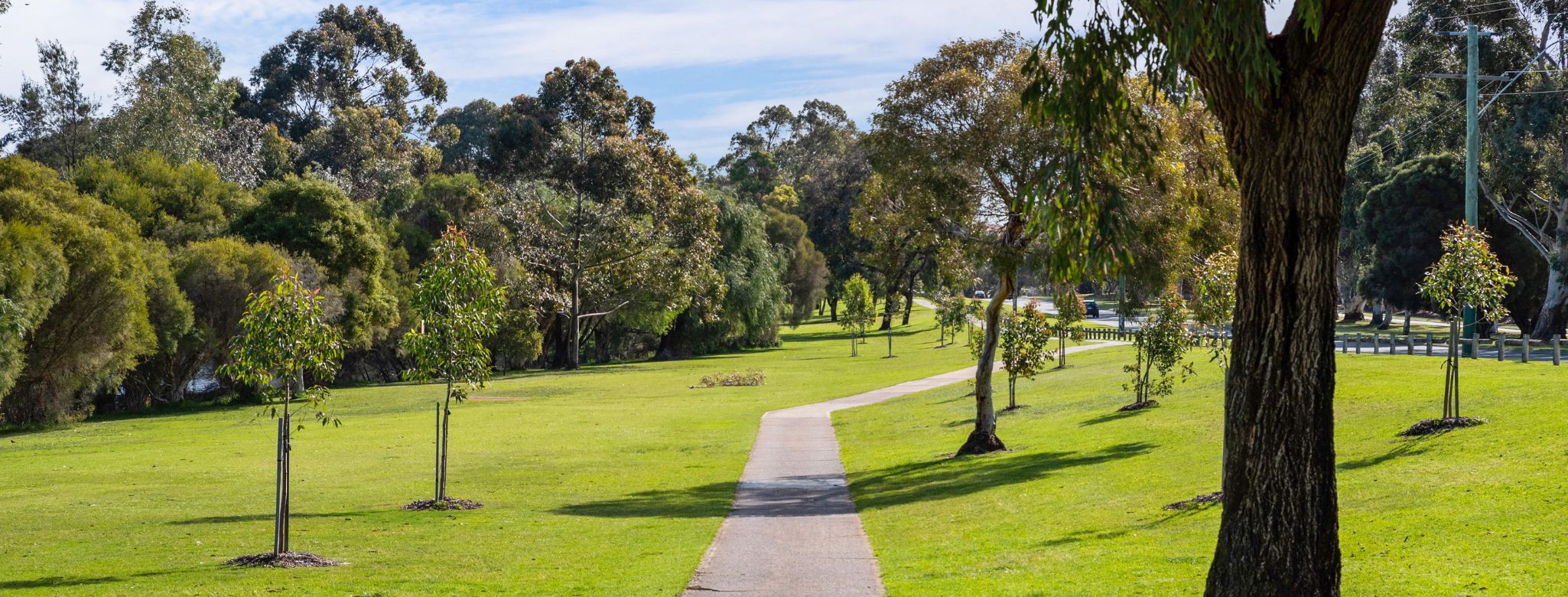 Full width project banner image