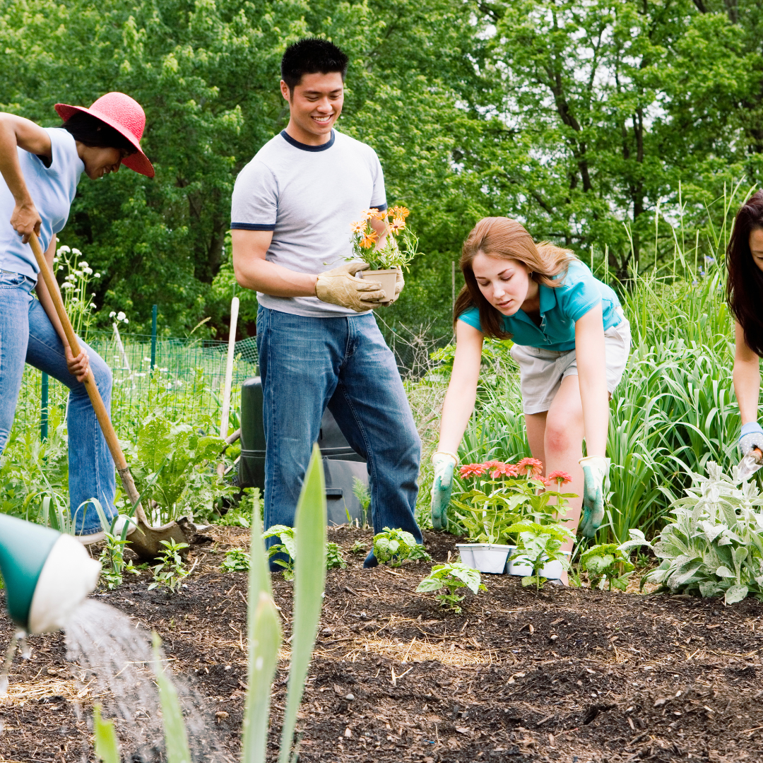 Kinross Community Garden – Second Friday Gathering