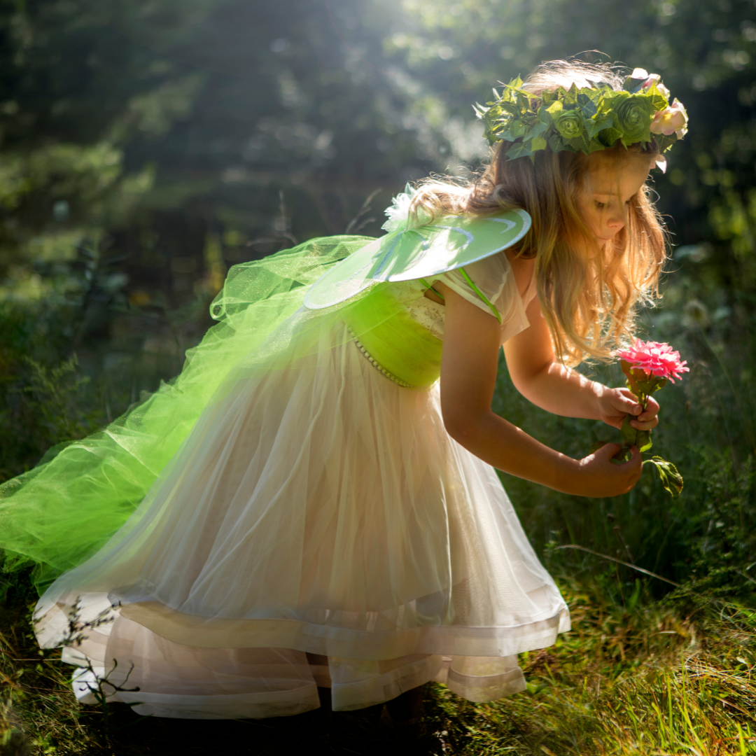 Fairy Winter Holiday Program – Winter Wonderland