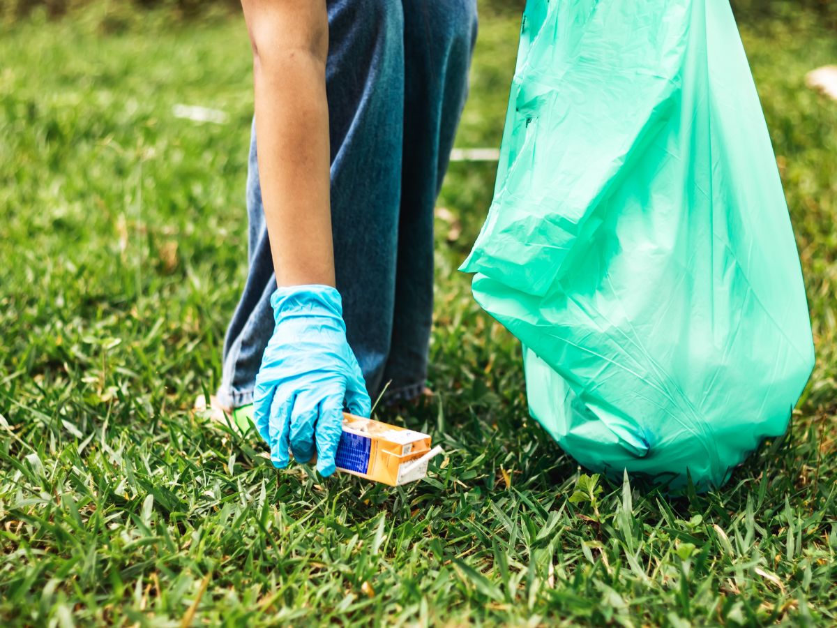community clean up