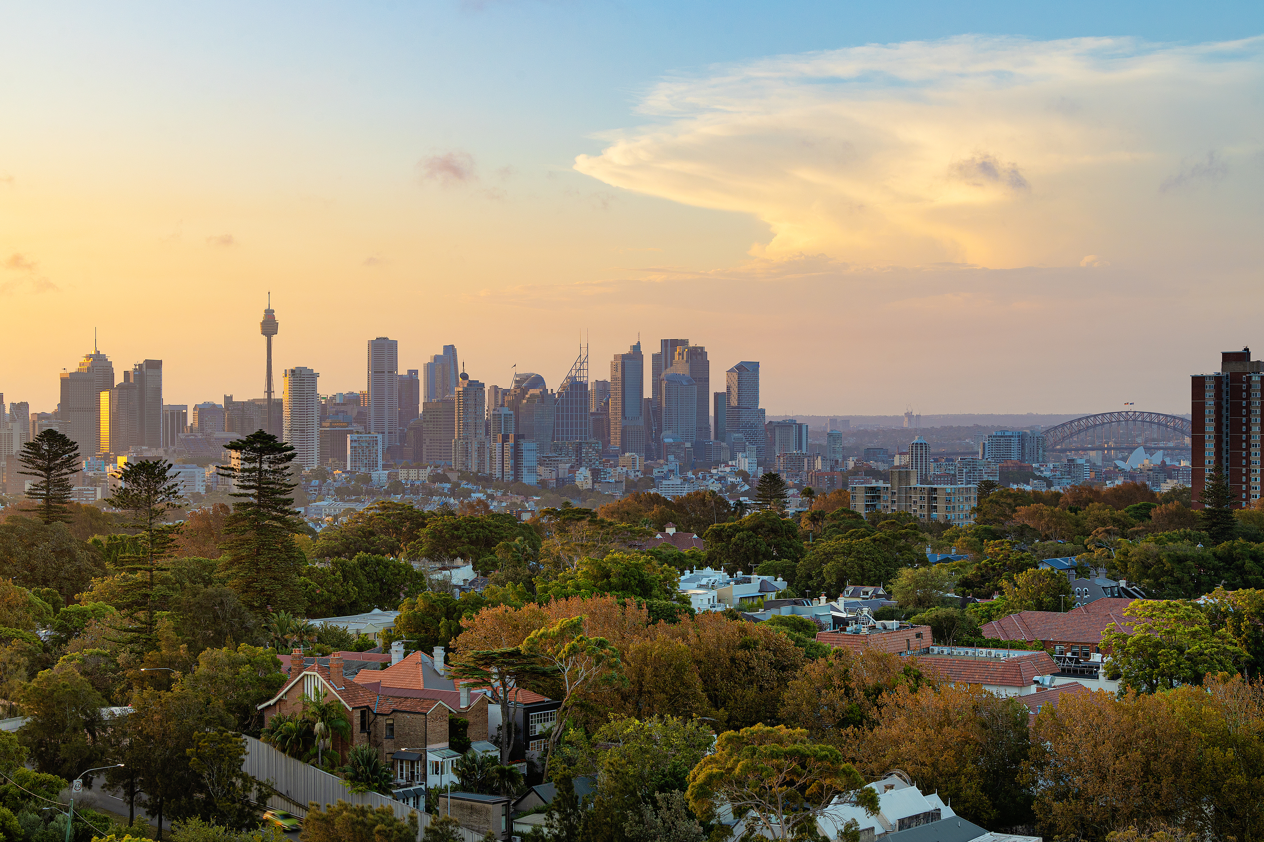 Full width banner image