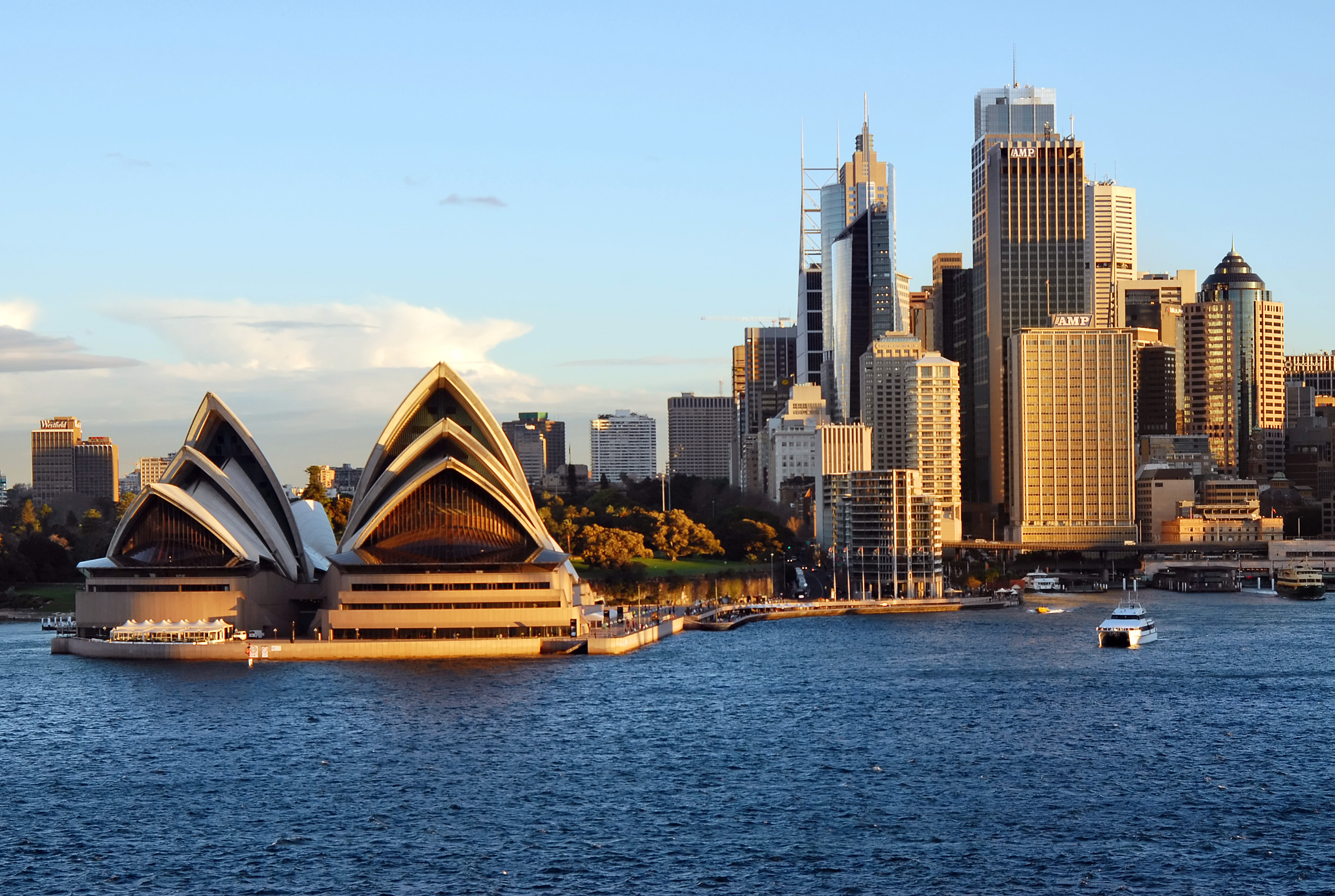 Full width project banner image