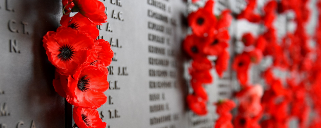 Full width project banner image