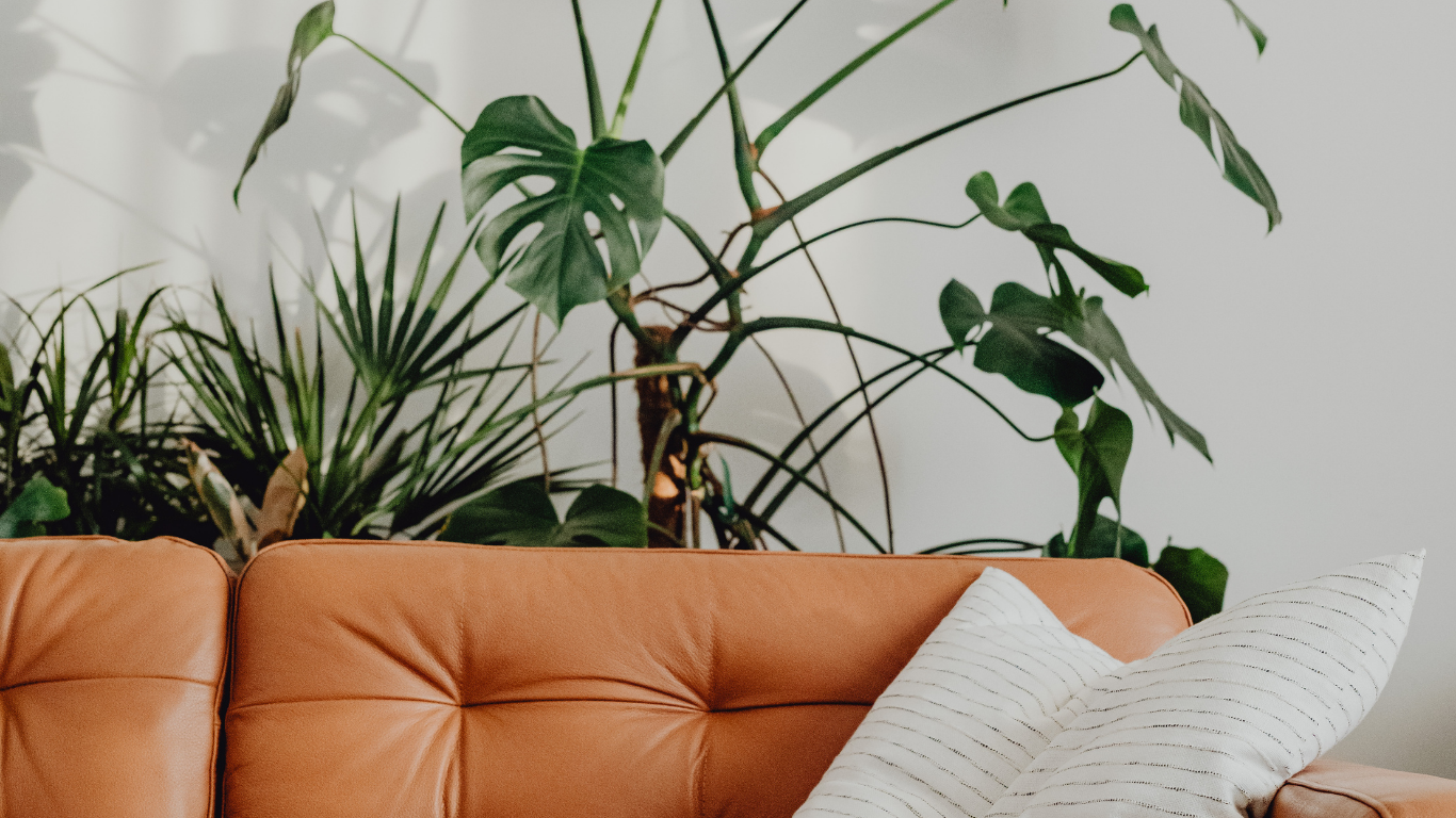 Full width project banner image