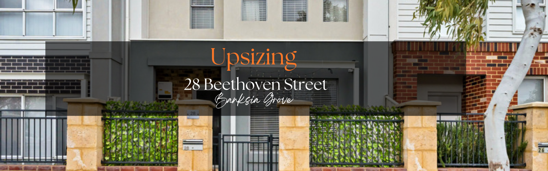 Full width project banner image