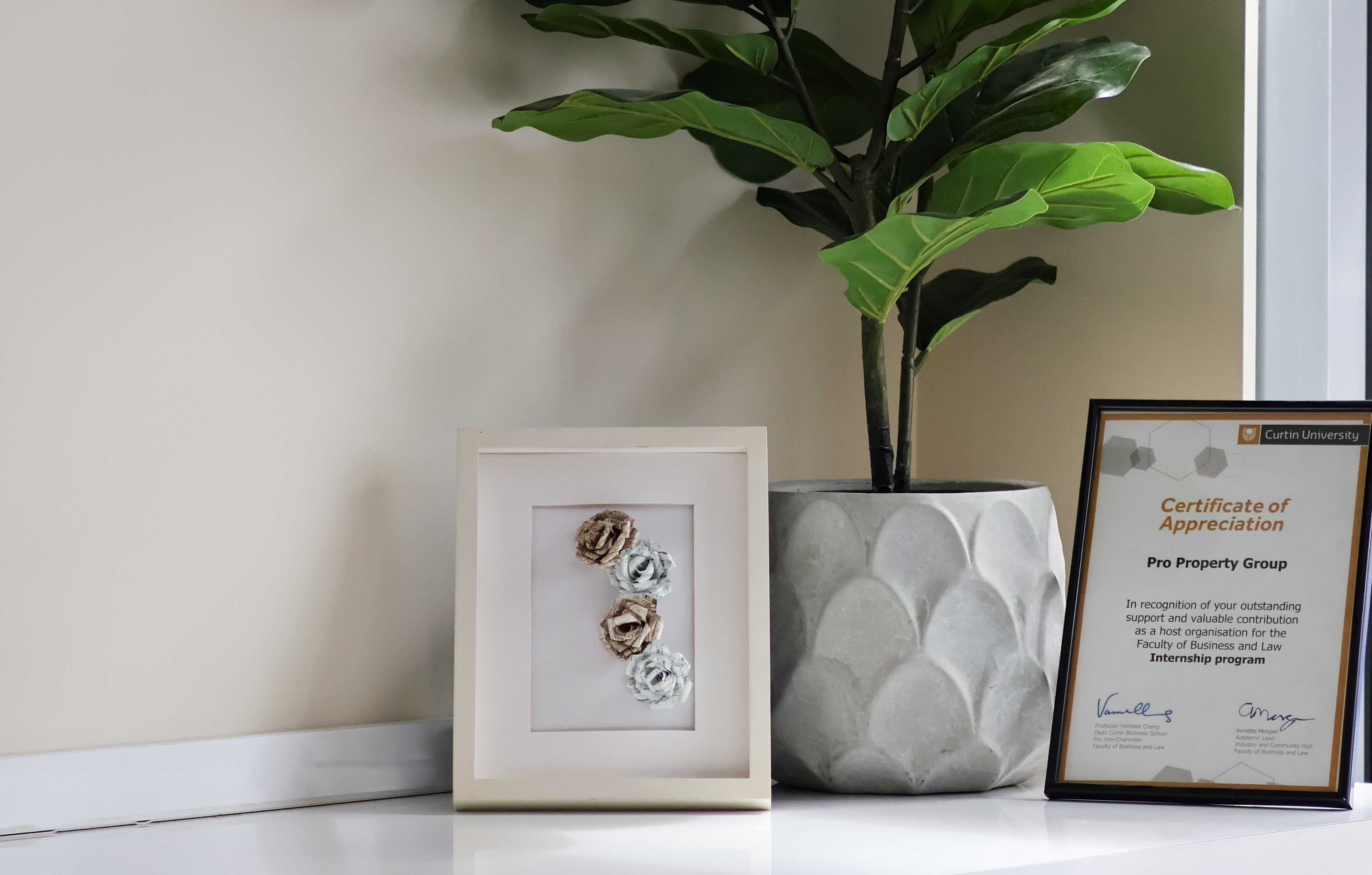 Full width project banner image