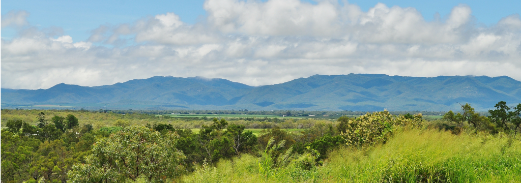 Full width project banner image