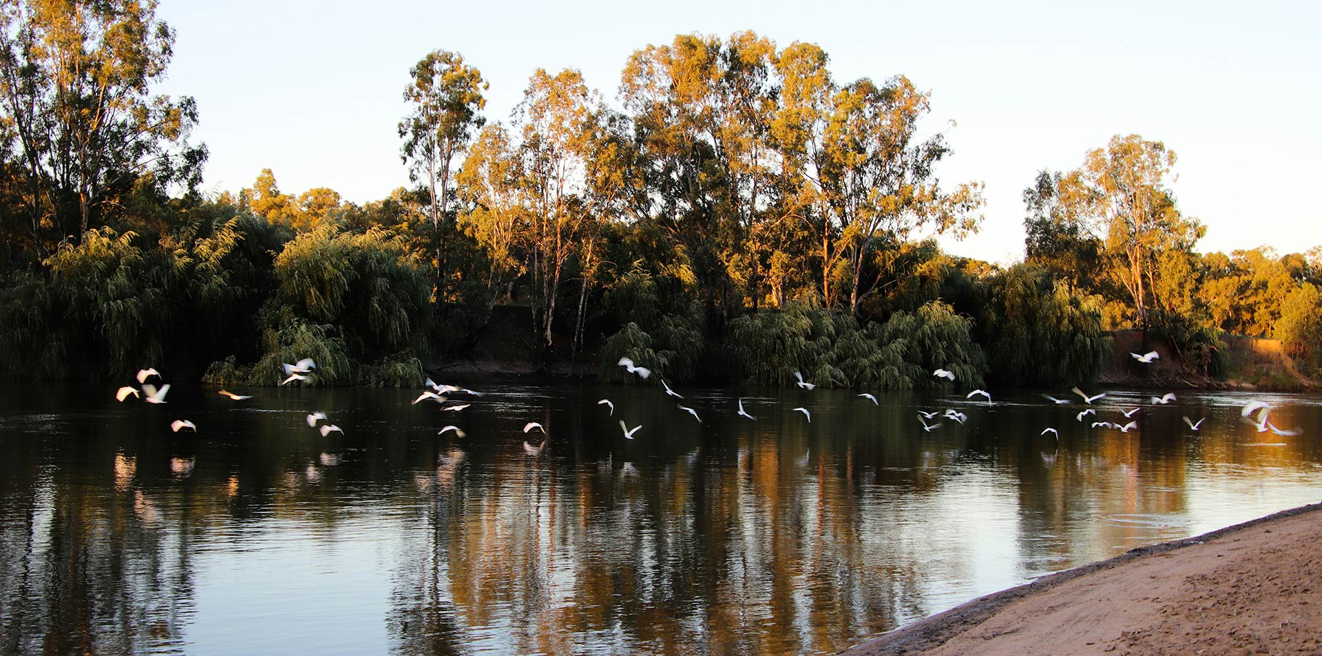 Blog post card image