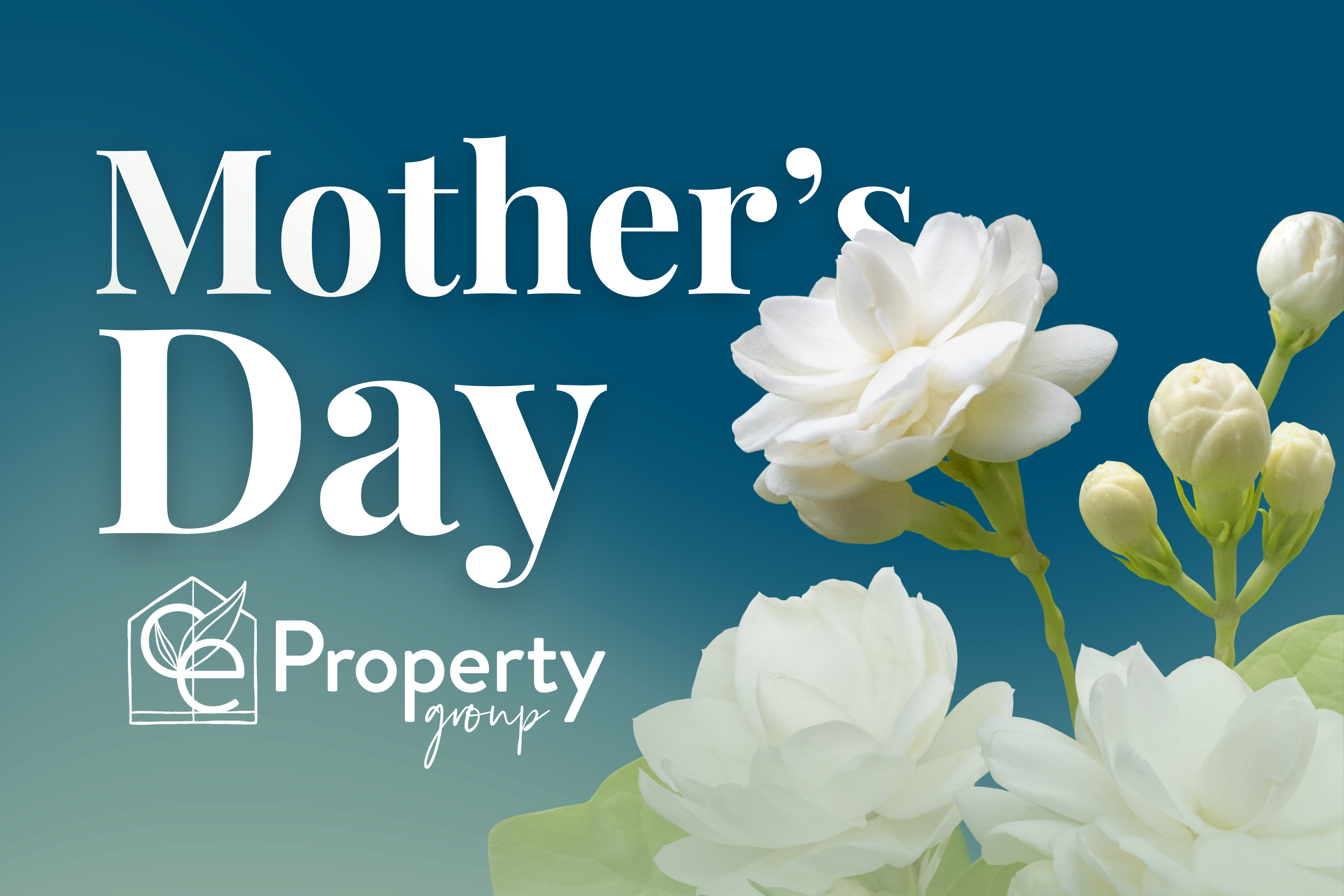 Full width project banner image