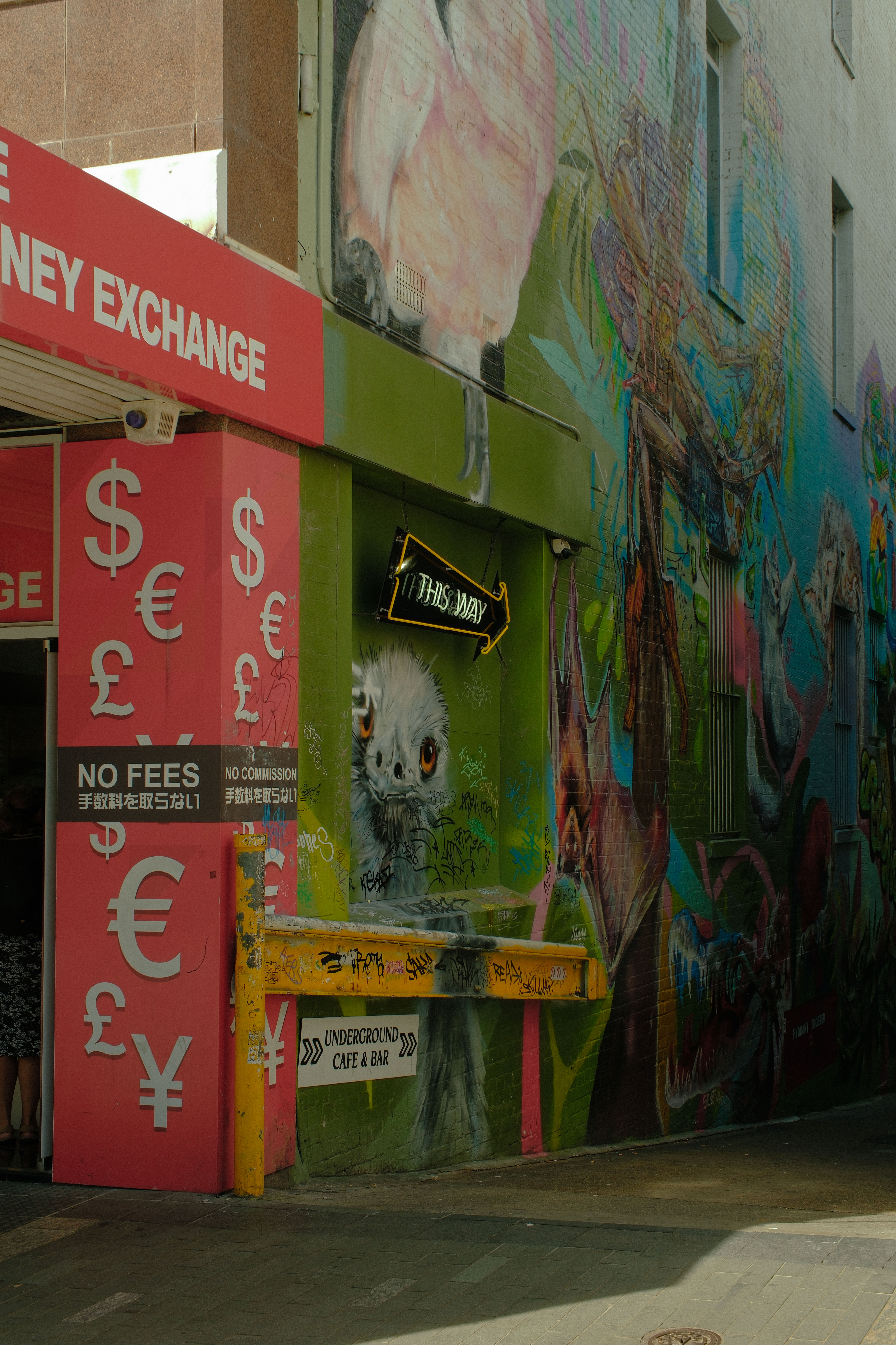 Full width project banner image
