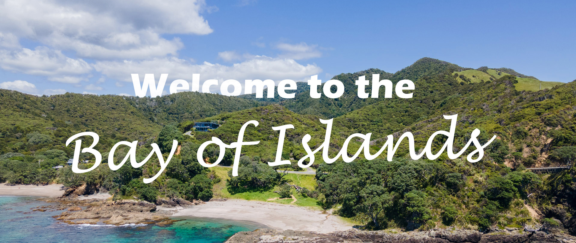 Full width project banner image