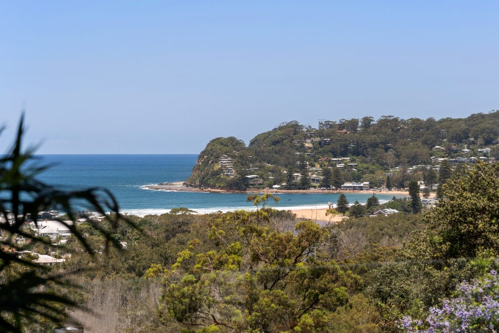 North Avoca beach and headland viewed from the hillside above the suburb