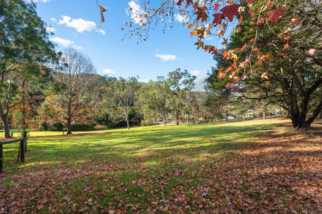 Open paddock with established trees and autumn leaves on a Holgate acreage property