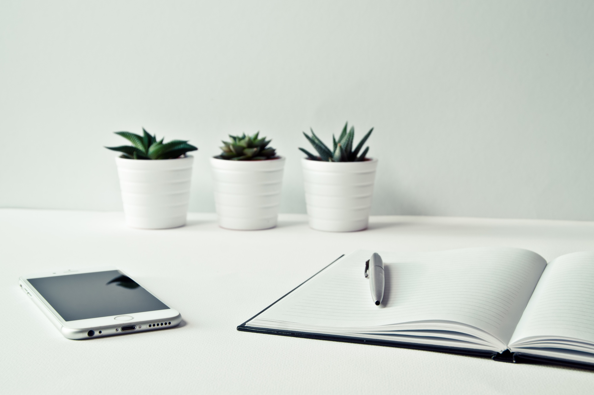 Full width project banner image