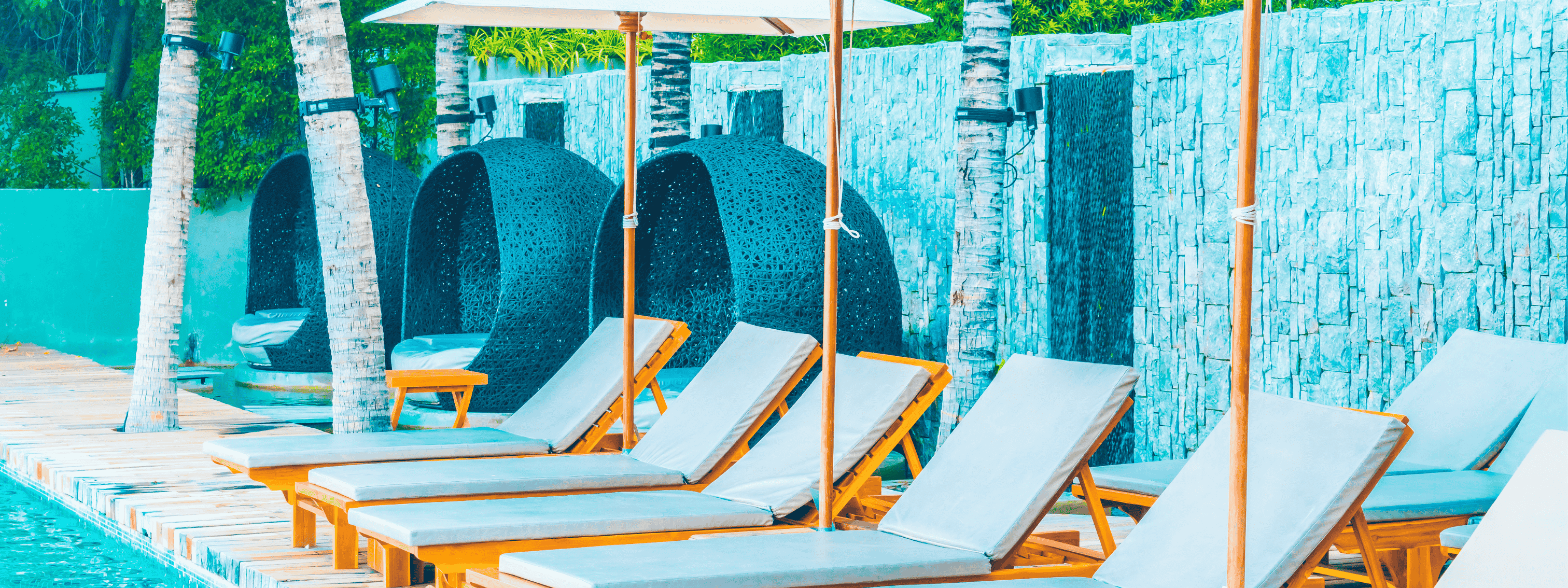 Full width project banner image