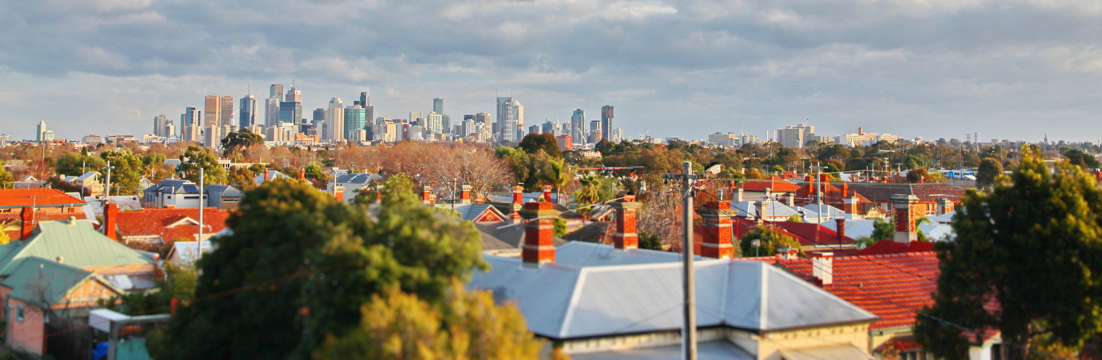 Full width project banner image