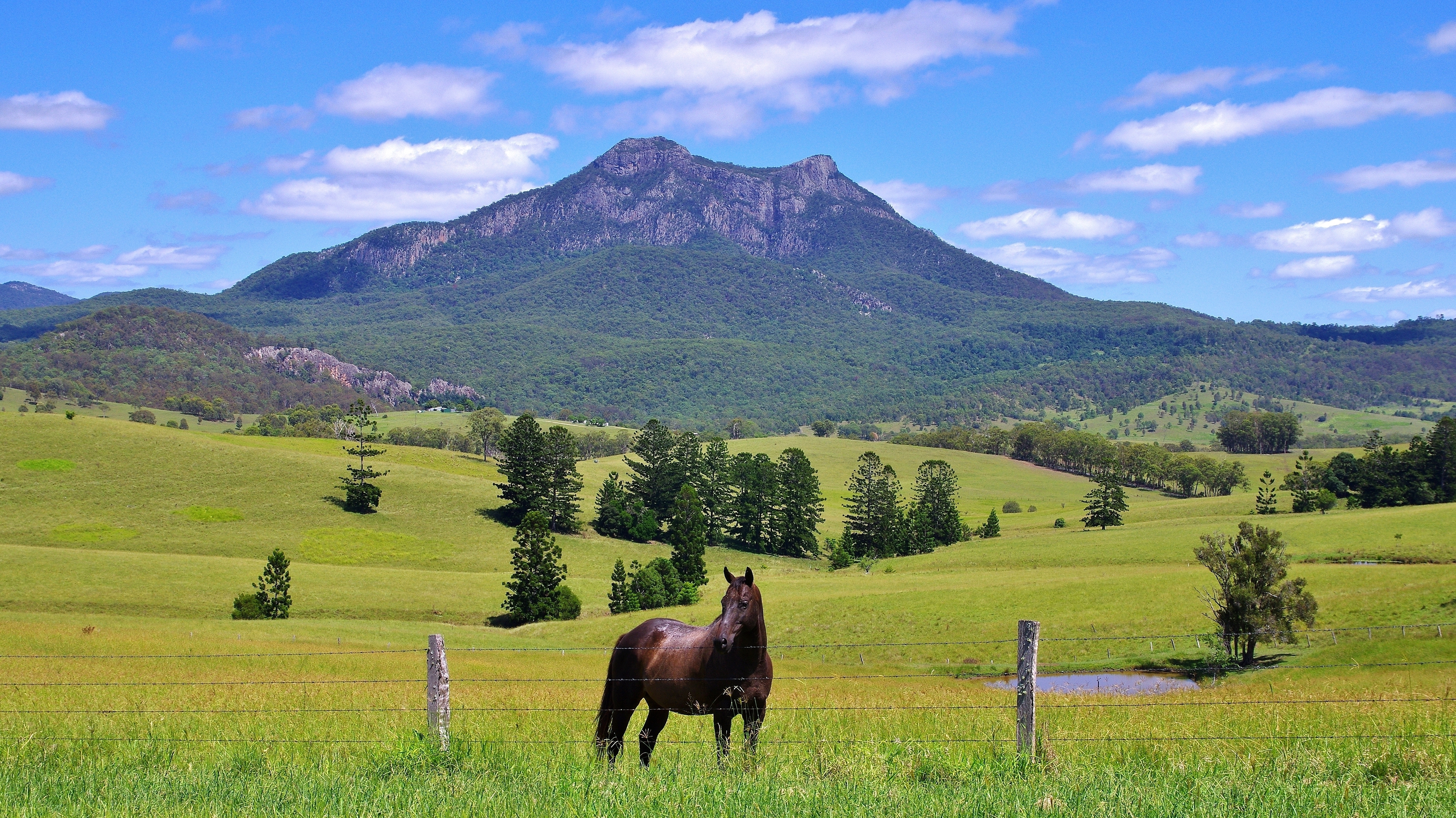 Blog post card image