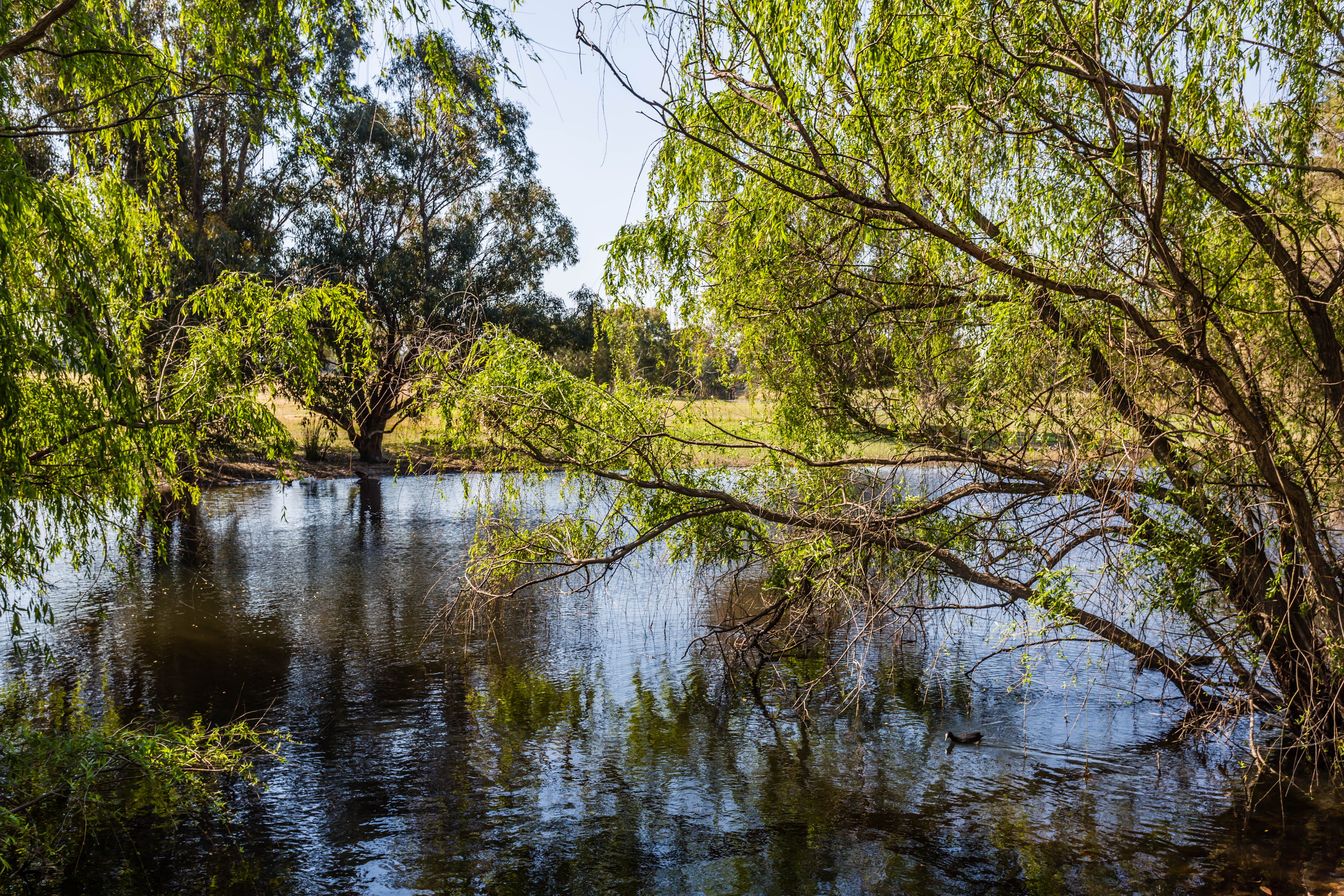 Blog post card image