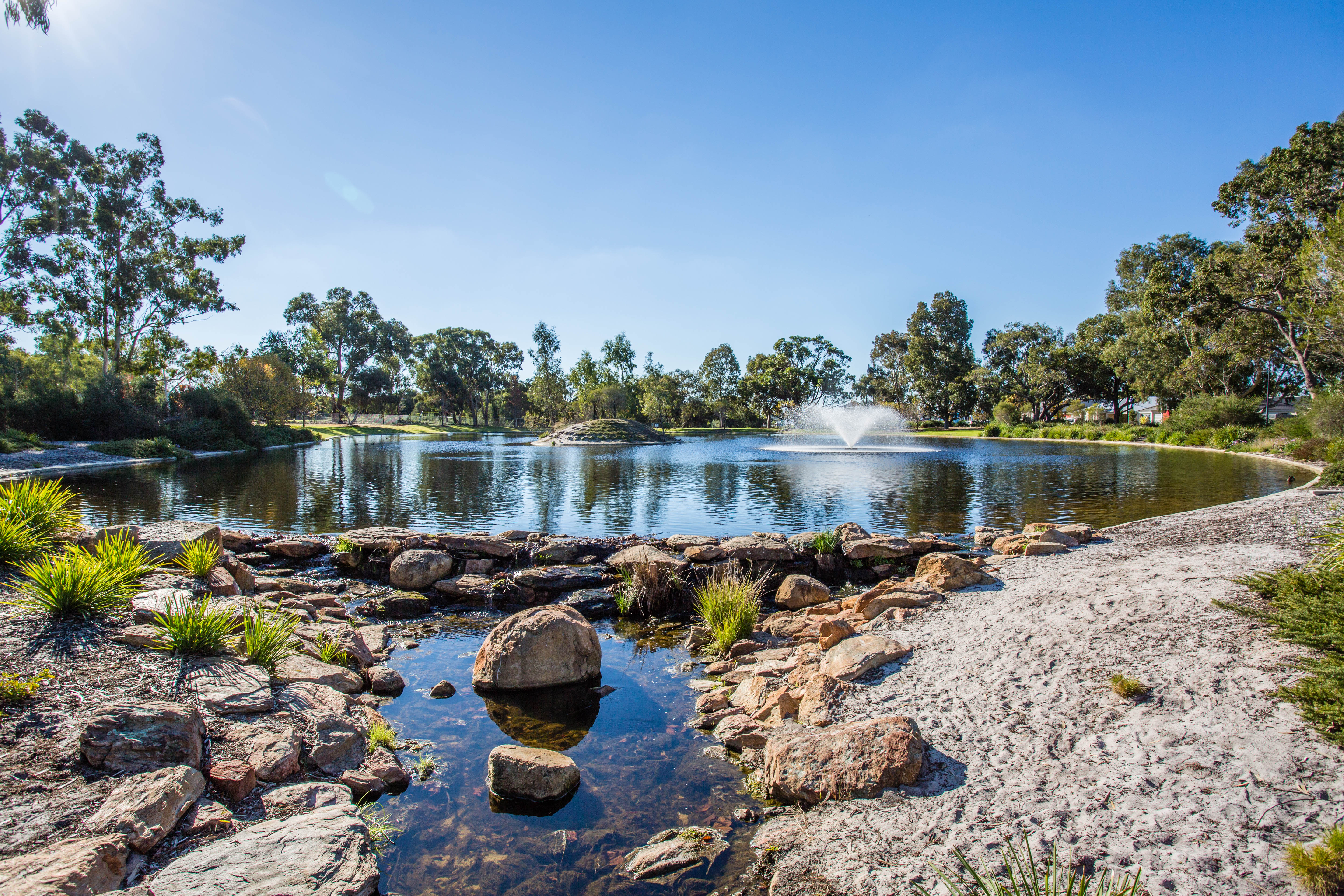 Full width project banner image