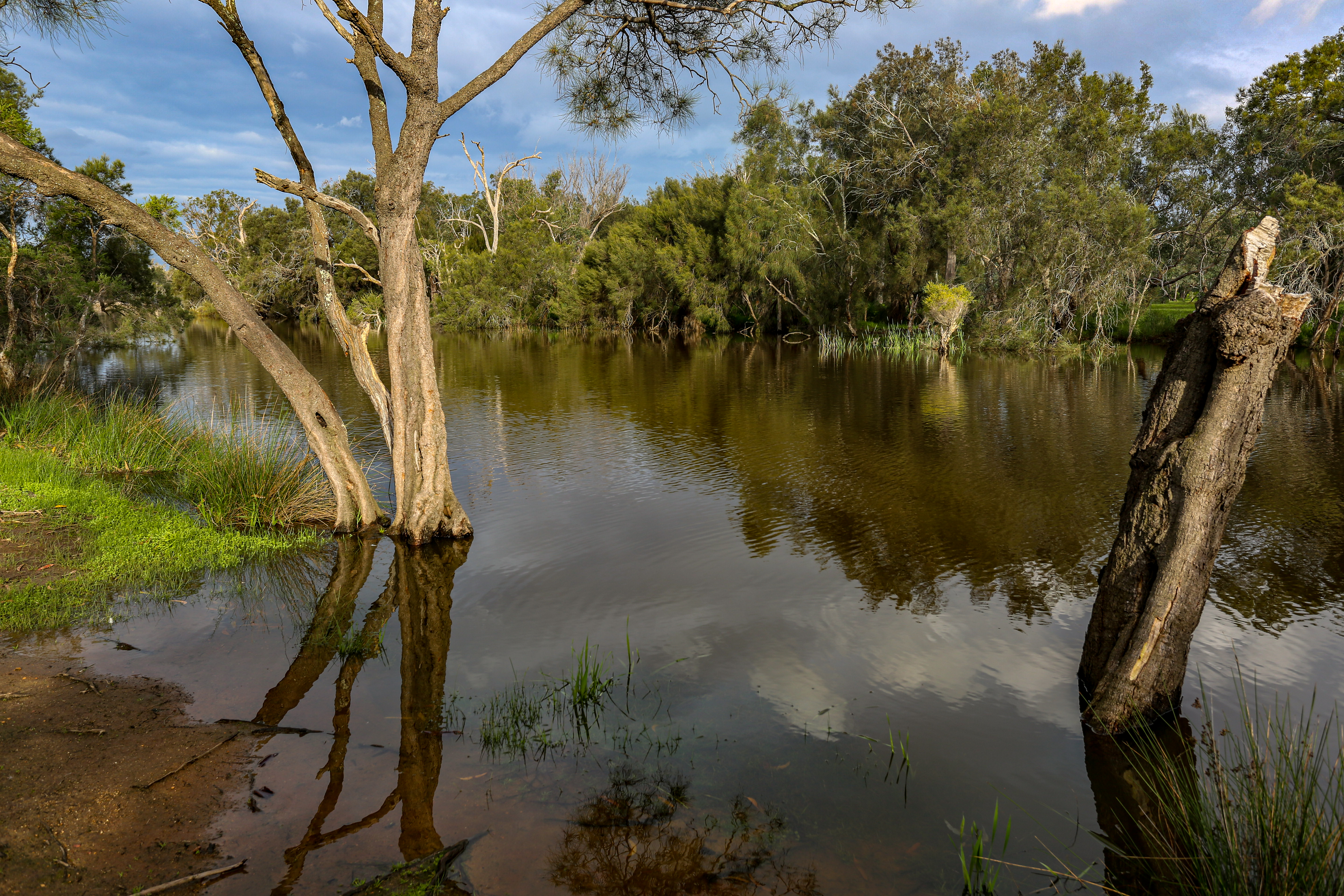 Blog post card image