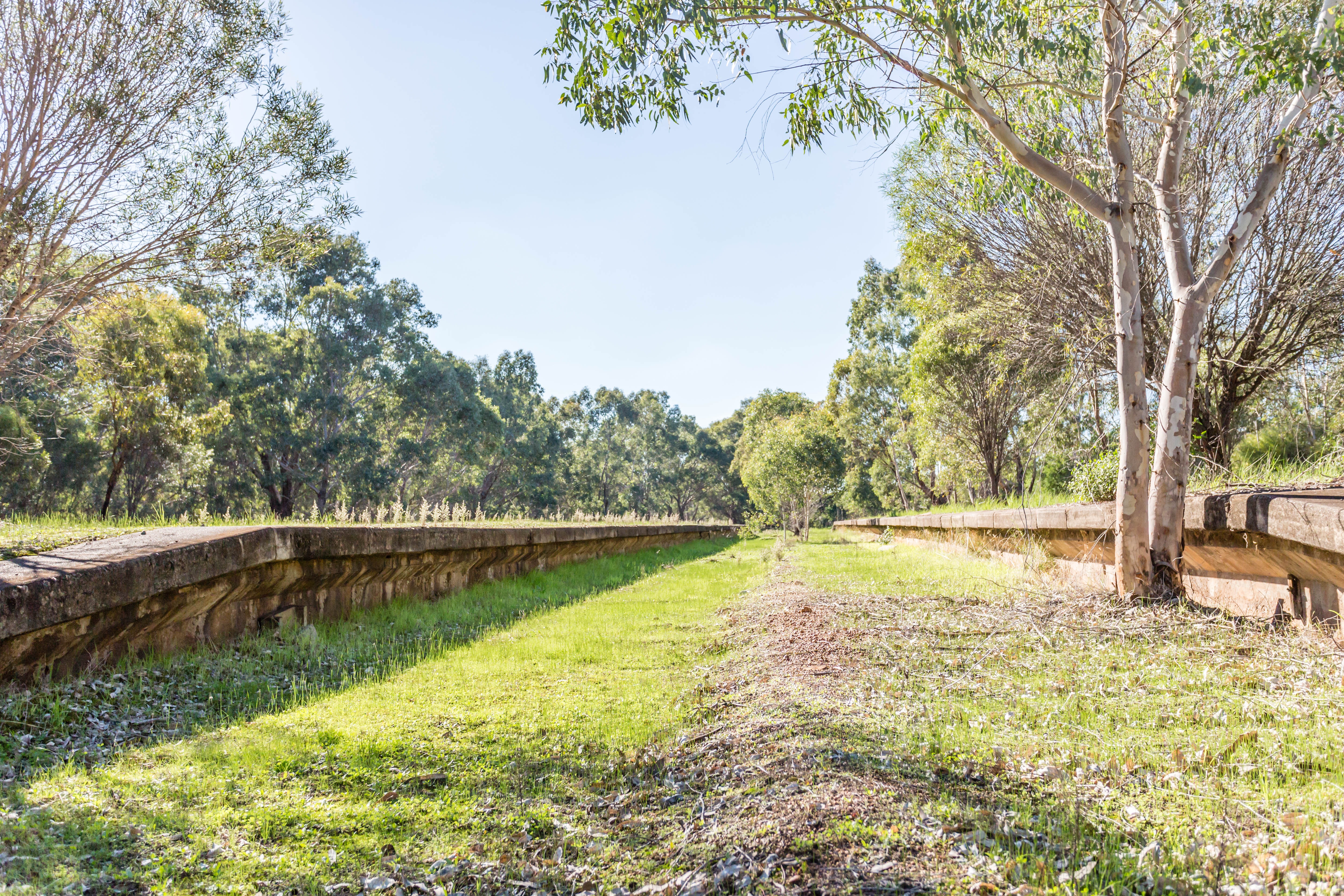 Blog post card image