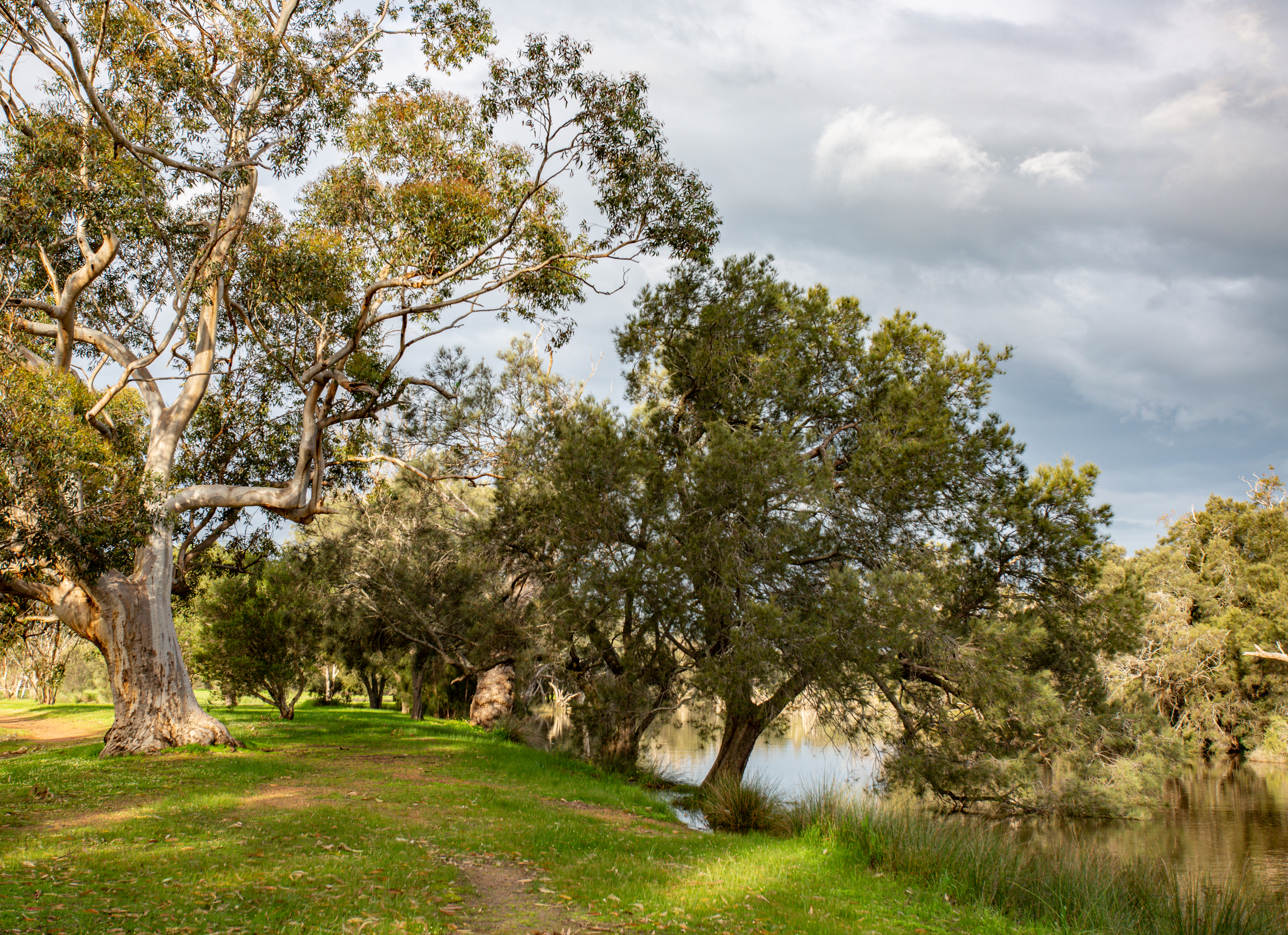 Blog post card image