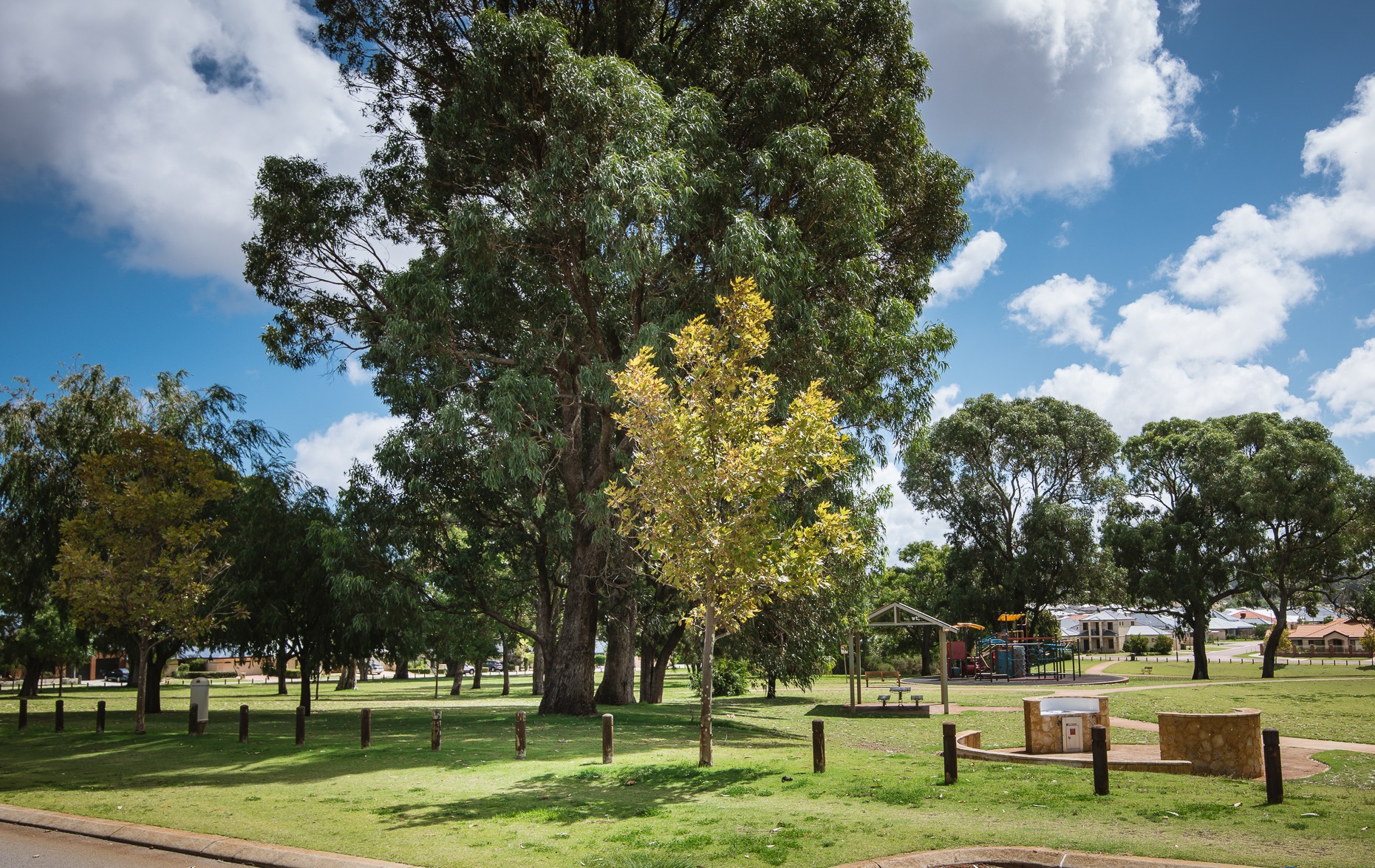 Blog post card image