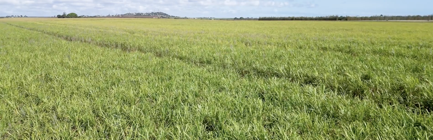 Full width project banner image