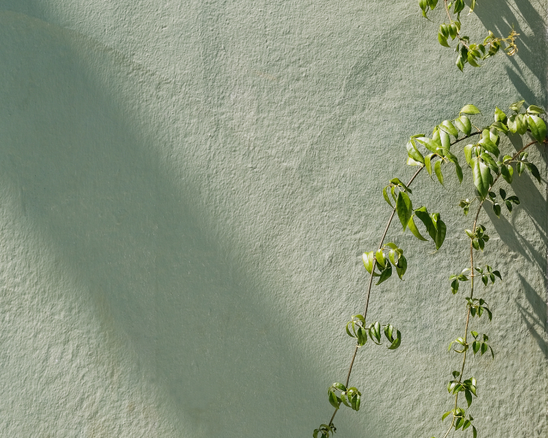 Full width project banner image