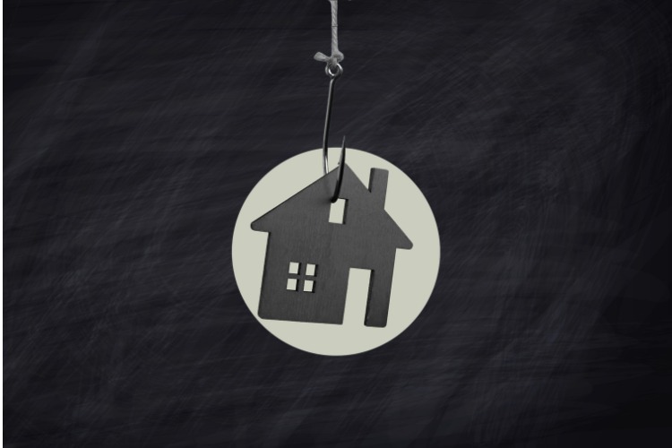 Full width project banner image