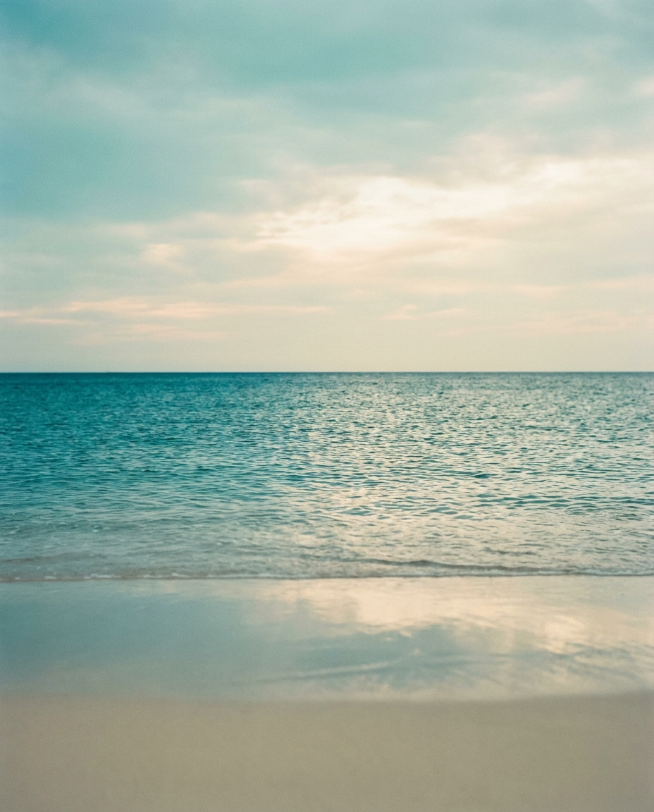 Full width project banner image