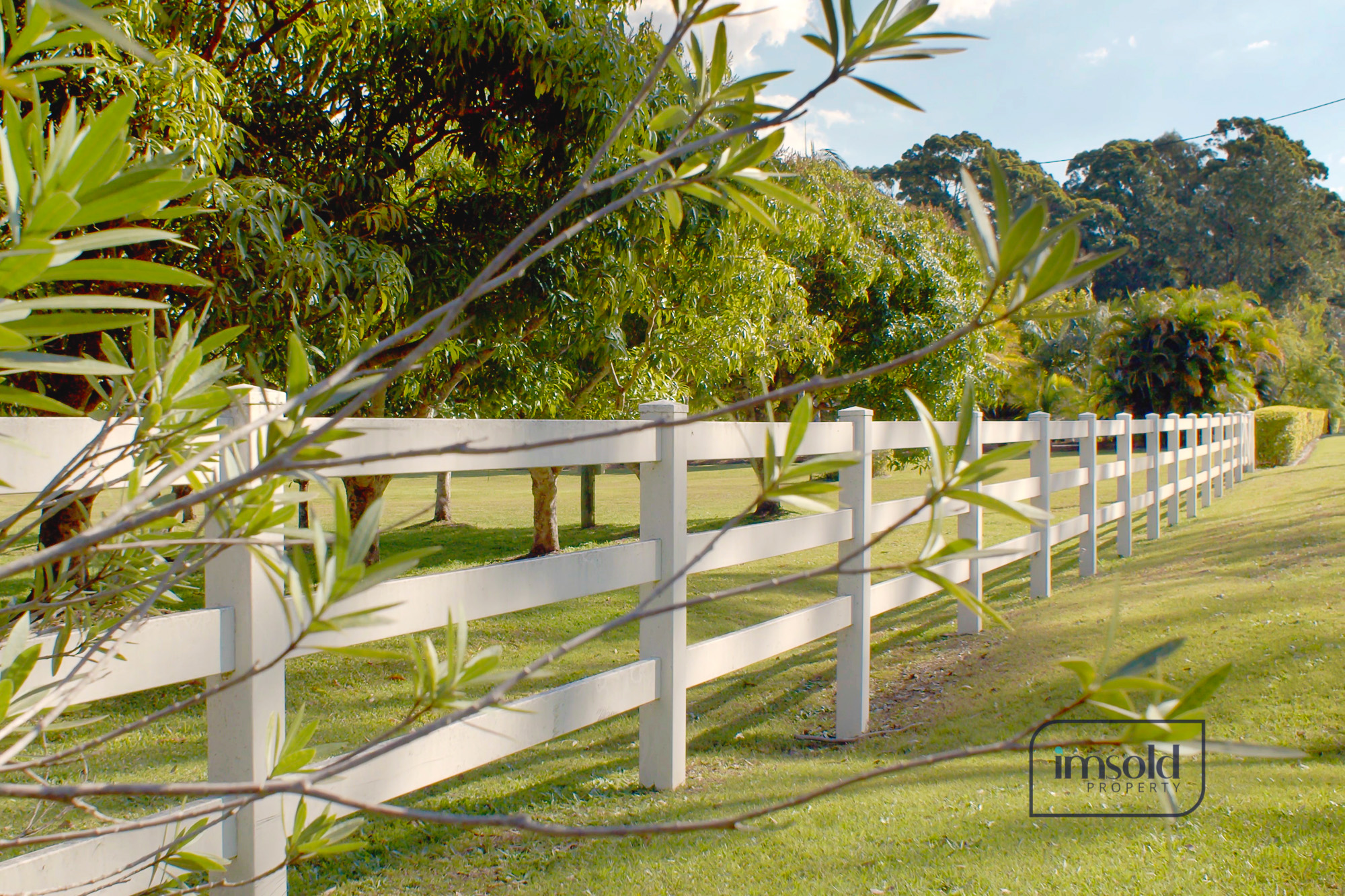 Full width project banner image