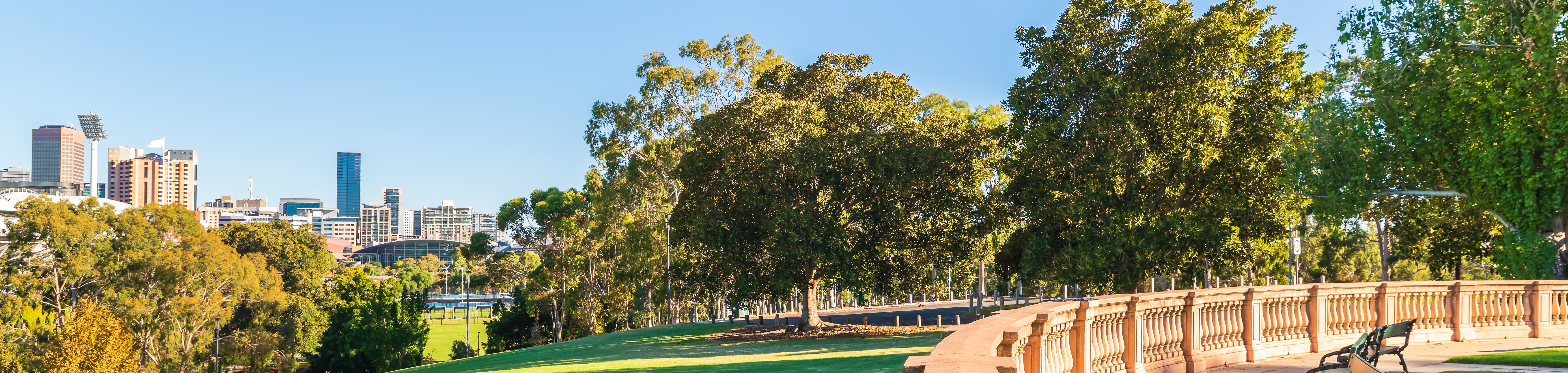 Full width project banner image