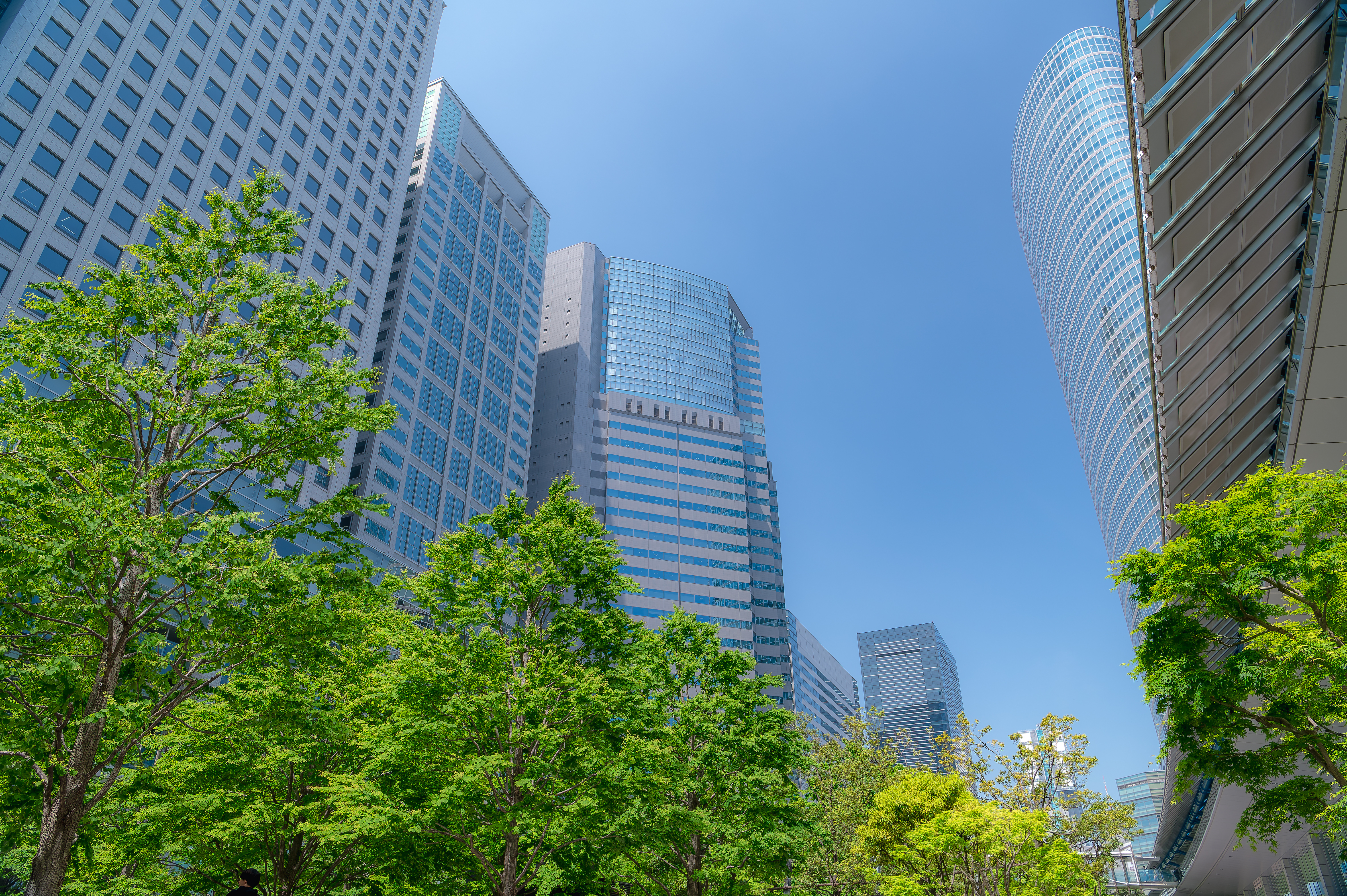 Full width project banner image