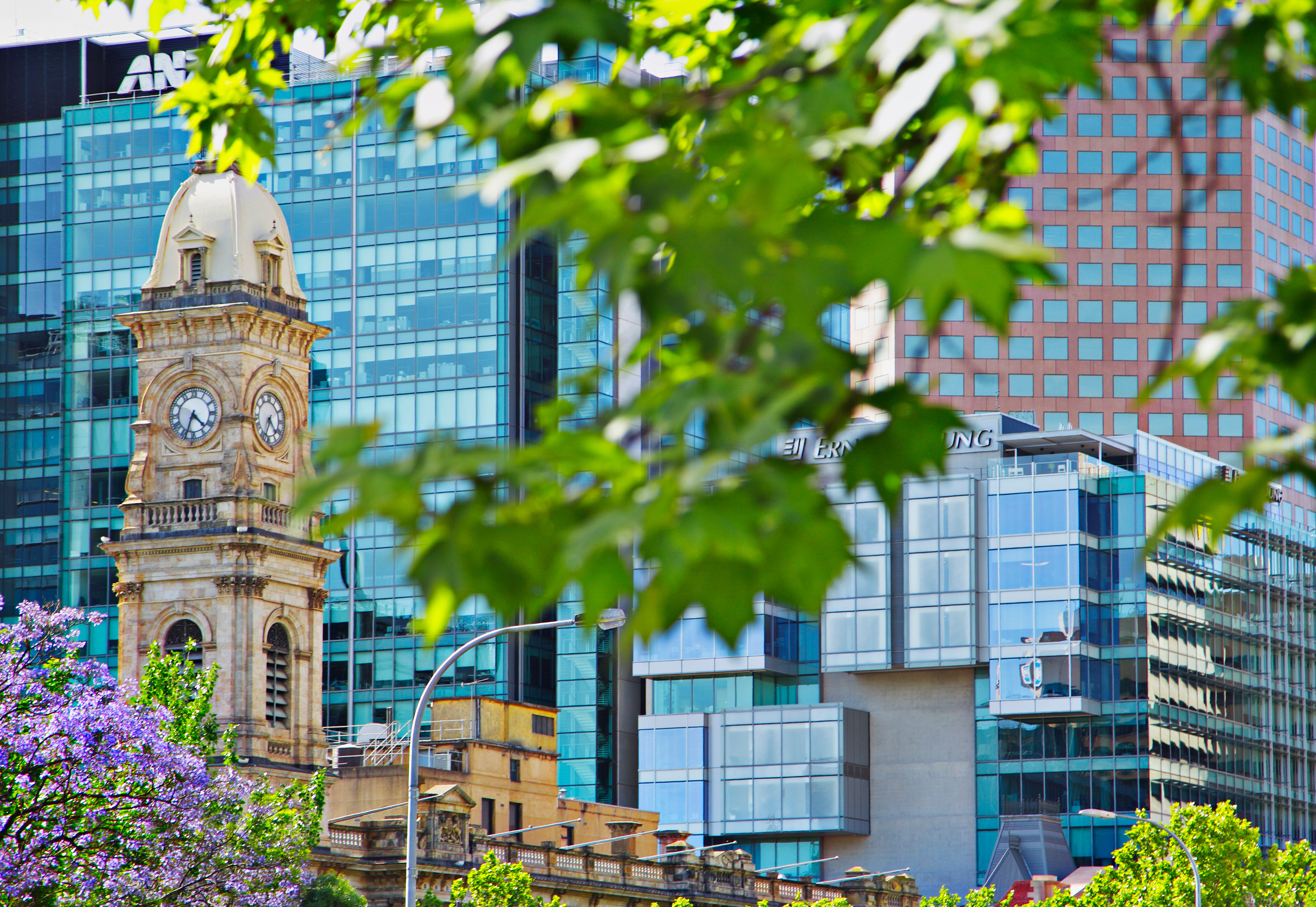 Full width project banner image