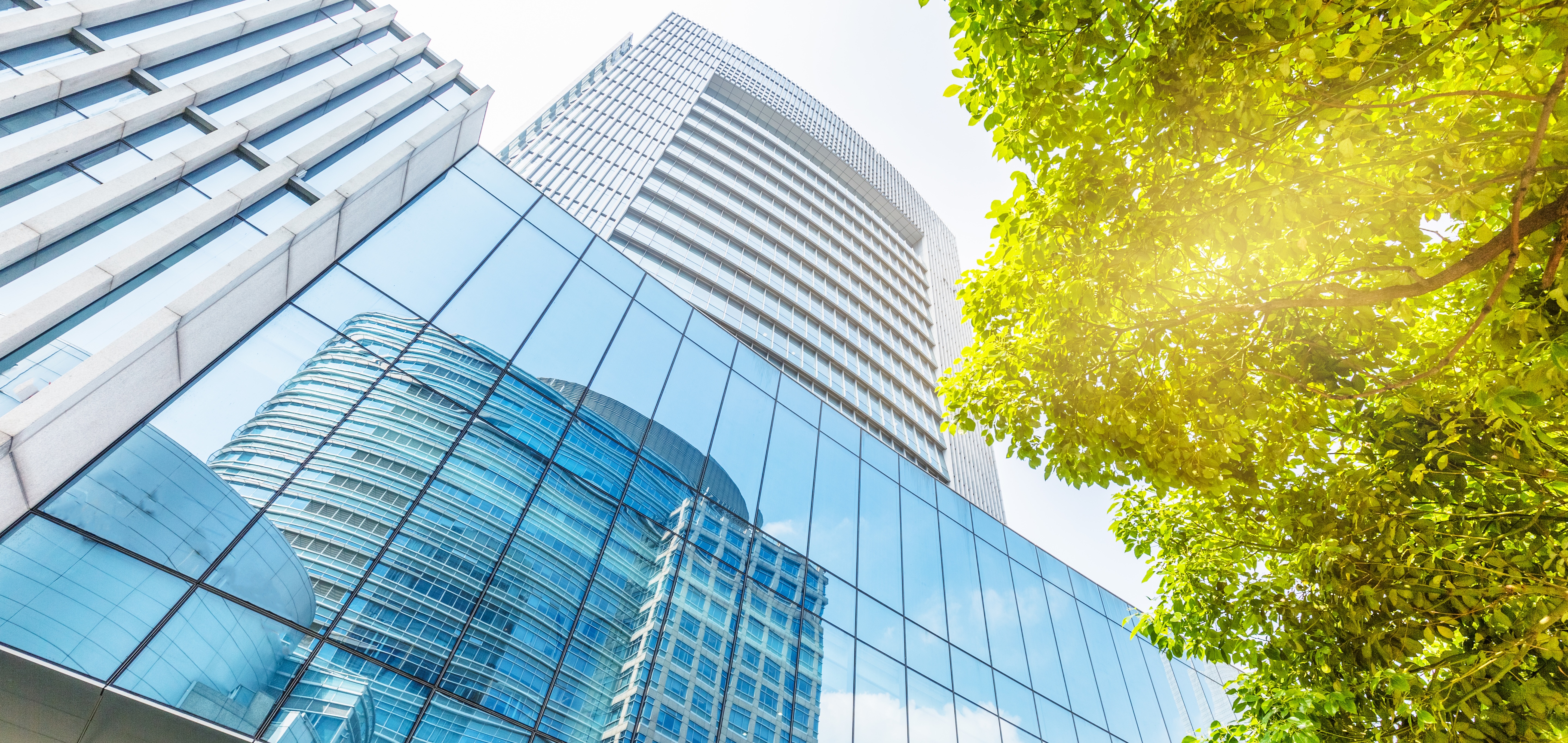 Full width project banner image