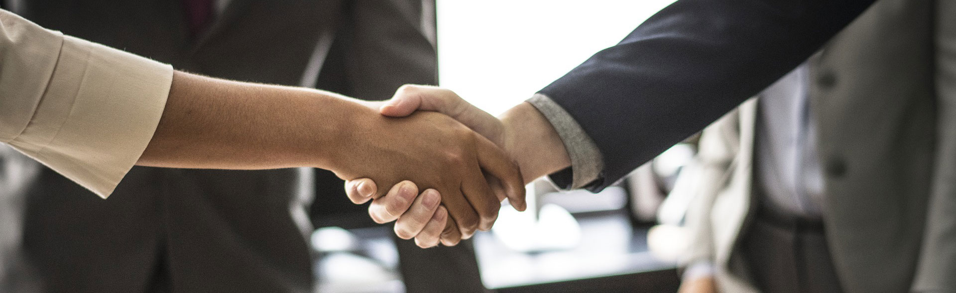 Full width project banner image