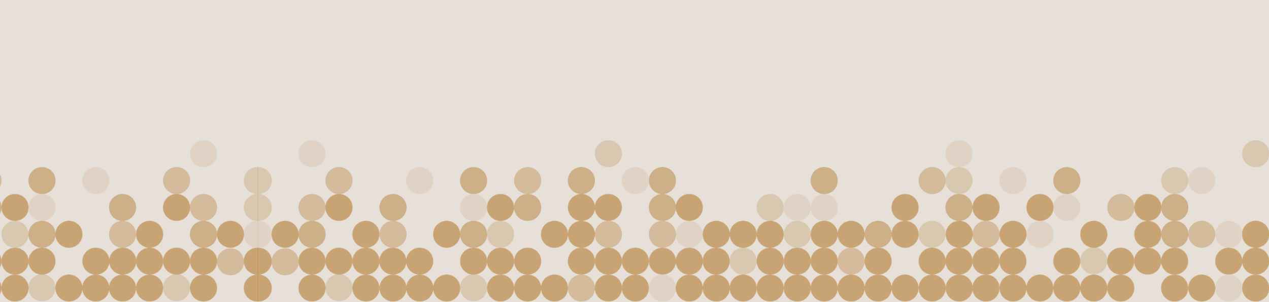 Full width project banner image