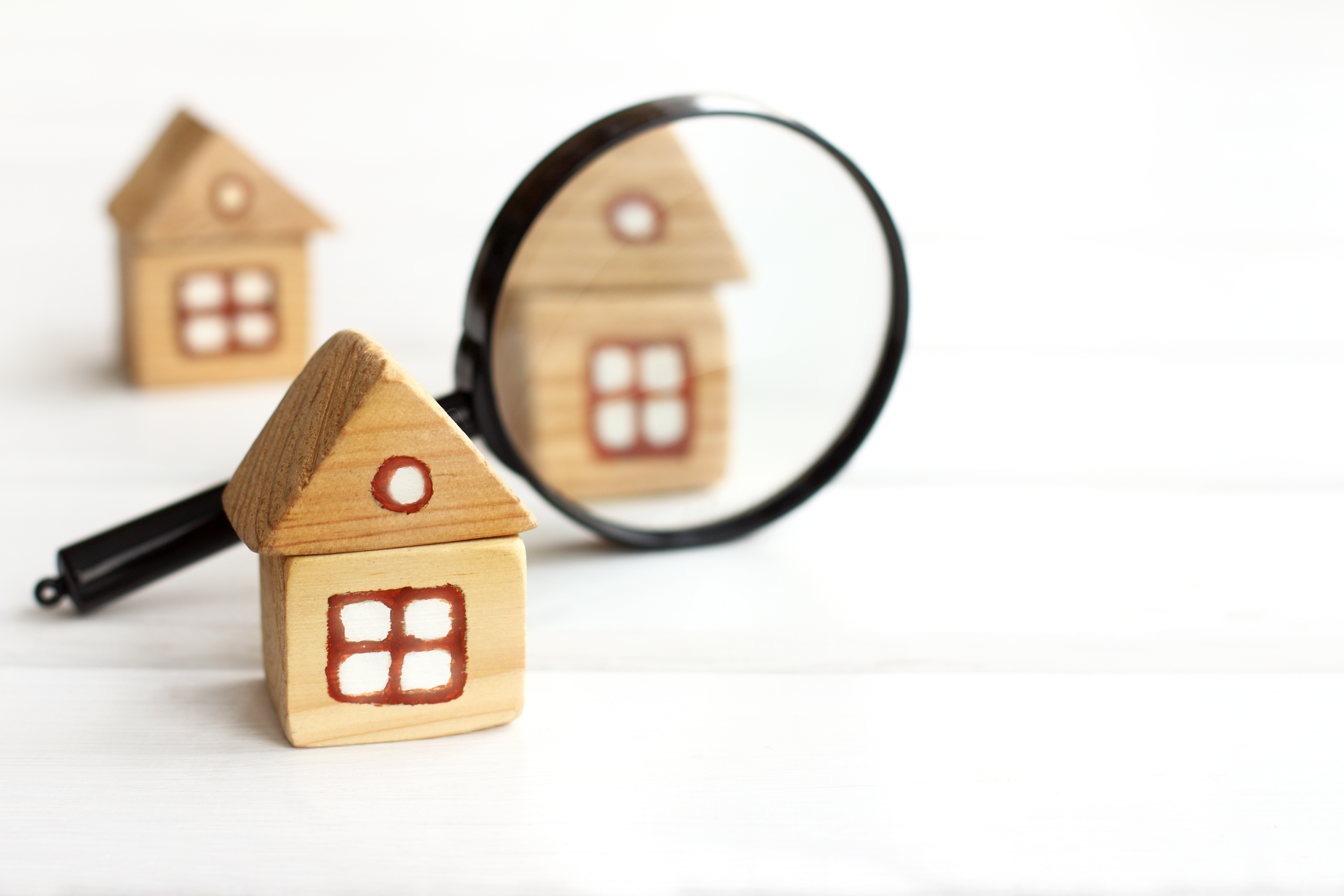 Building and pest inspections